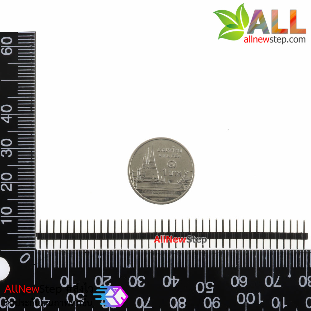 ก้างปลา 1X40P 2.0mm pitch single row connector