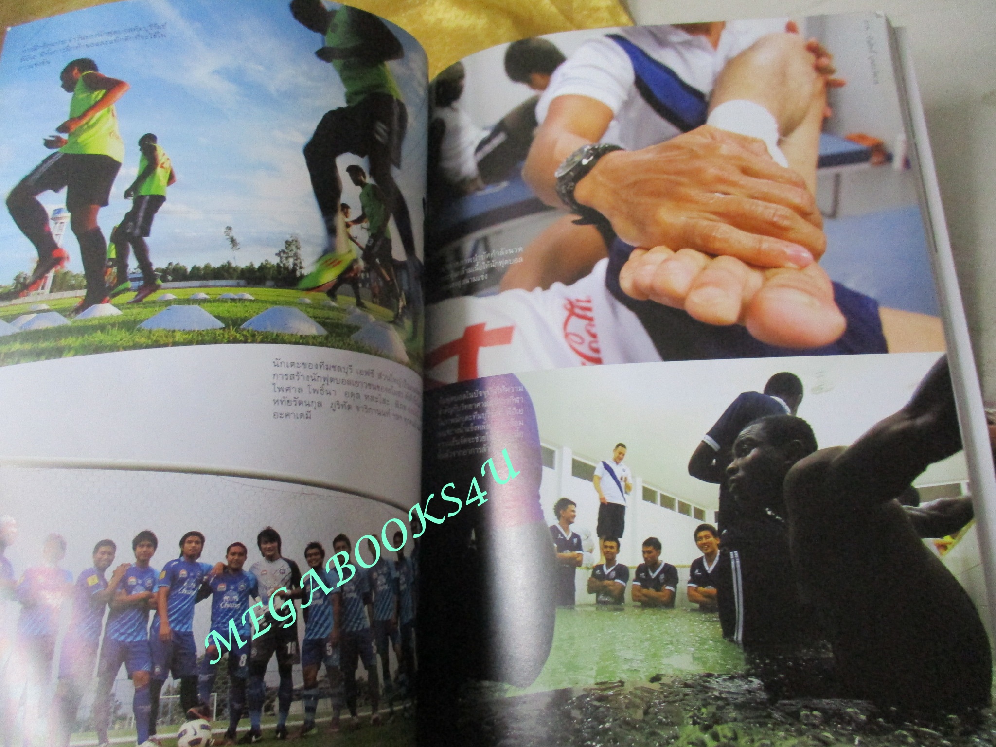 นิตยสารสารคดี ฉบับที่321 ปี2554 ไทยพรีเมียร์ลีก, แฟนบอล, ธุรกิลูกหนัง