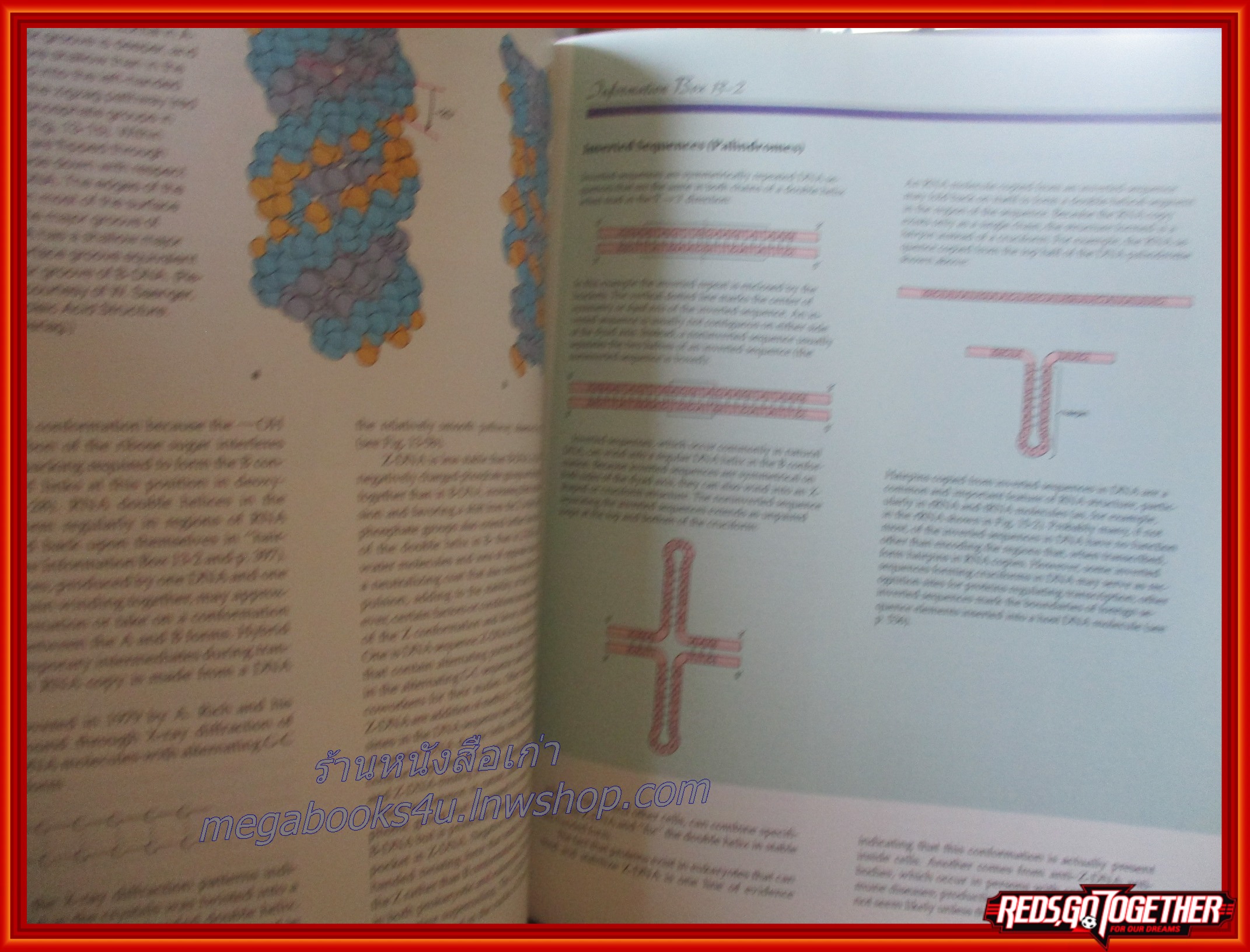 หนังสือชีวะ หนังสือชีววิทยา Introduction to Cell and Molecular Biology (ภาษาอังกฤษทั้งเล่ม)