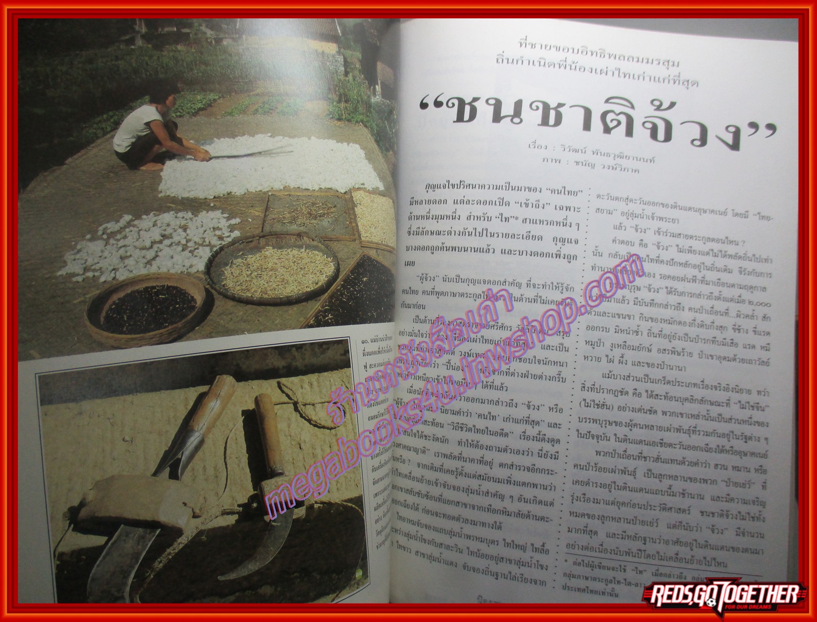 นิตยสารสารคดี ฉบับที่119 มกราคม 2538 + นักษัตรปีมะแม หมูชีวิตนี้เพื่อมนุษย์ ชนชาติจ้วง วอชิงตันดีซี ยะลา