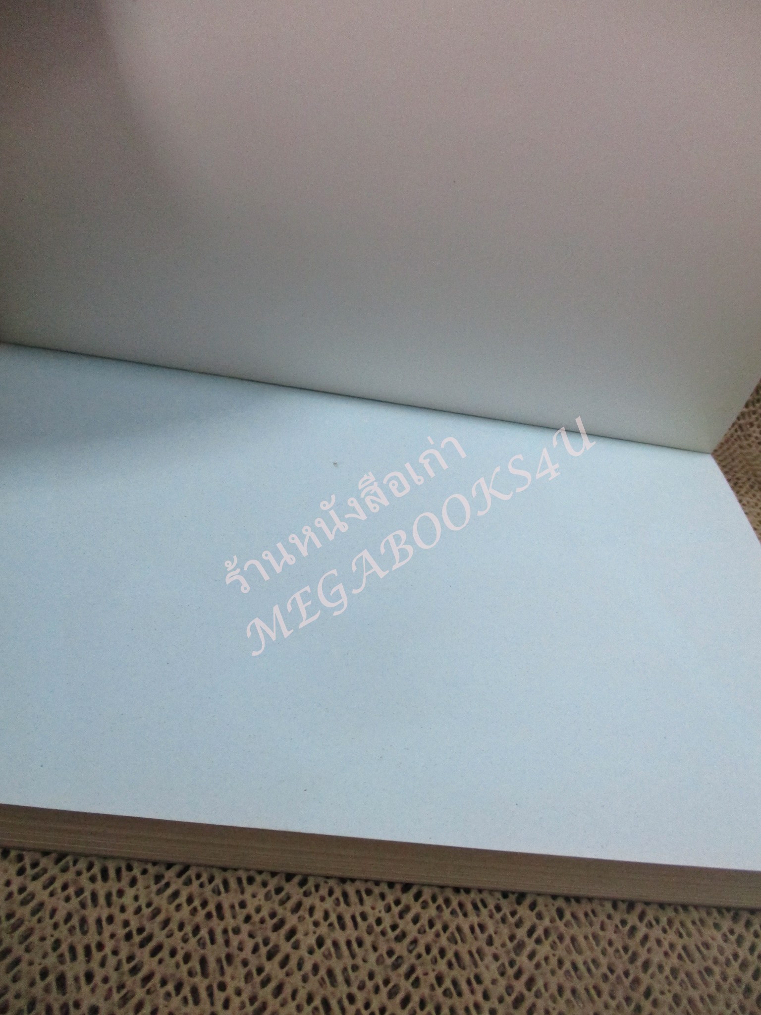 นิยาย Danger Sign! สัญญาณอันตรายบอกหัวใจว่ารัก เล่ม2 / AoFFii / แจ่มใส88