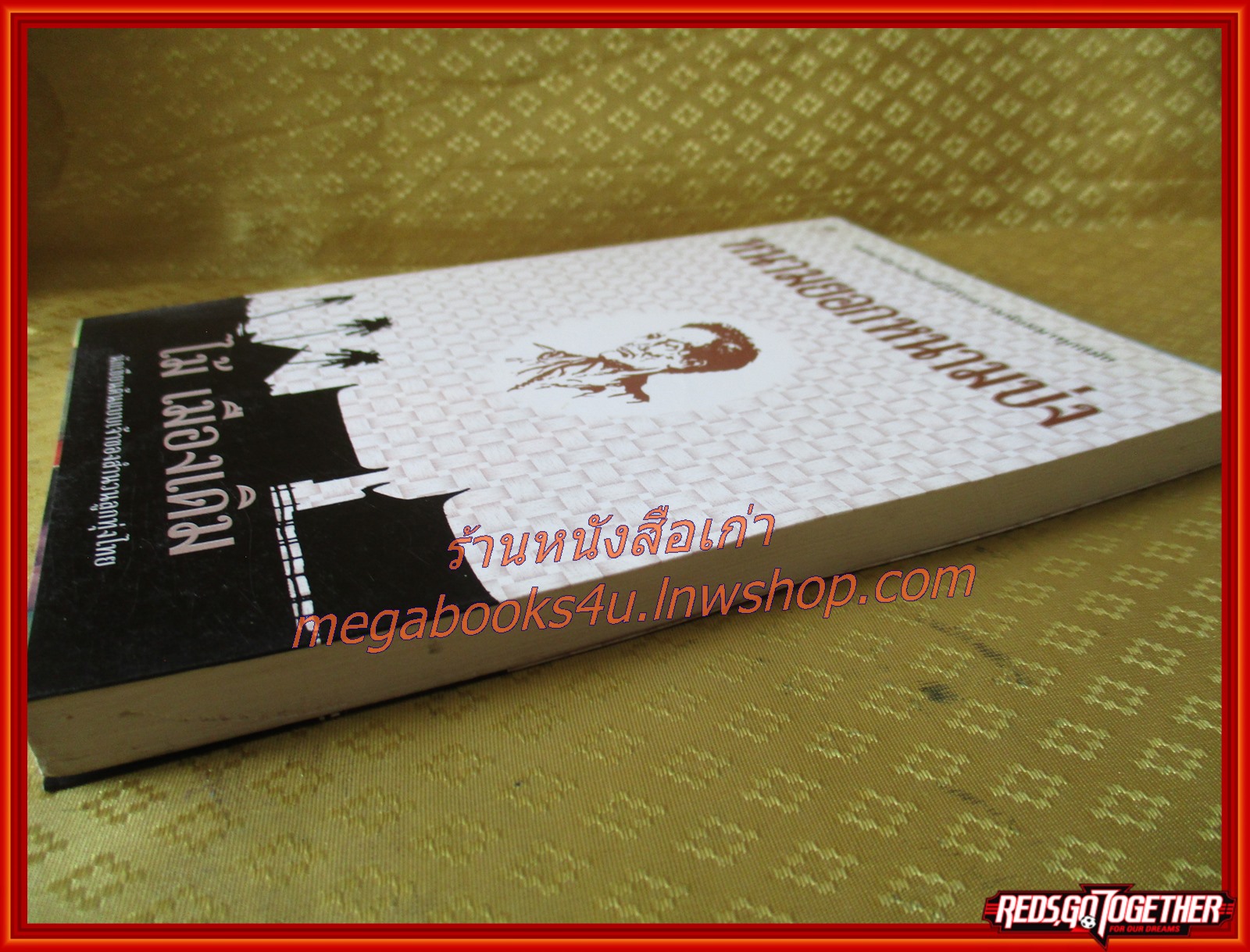 หนามยอกหนามบ่ง /ไม้ เมืองเดิม / สนพ. ไพลิน