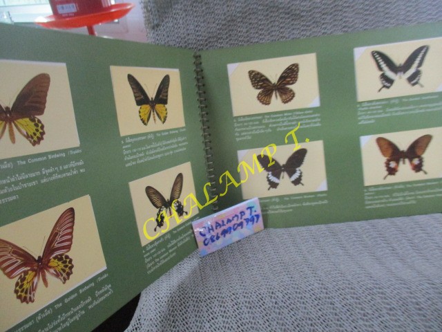 อัลบั้มสะสมรูปผีเสื้อไทย เกือบครบทุกรูป ขาด2รูปตามภาพ