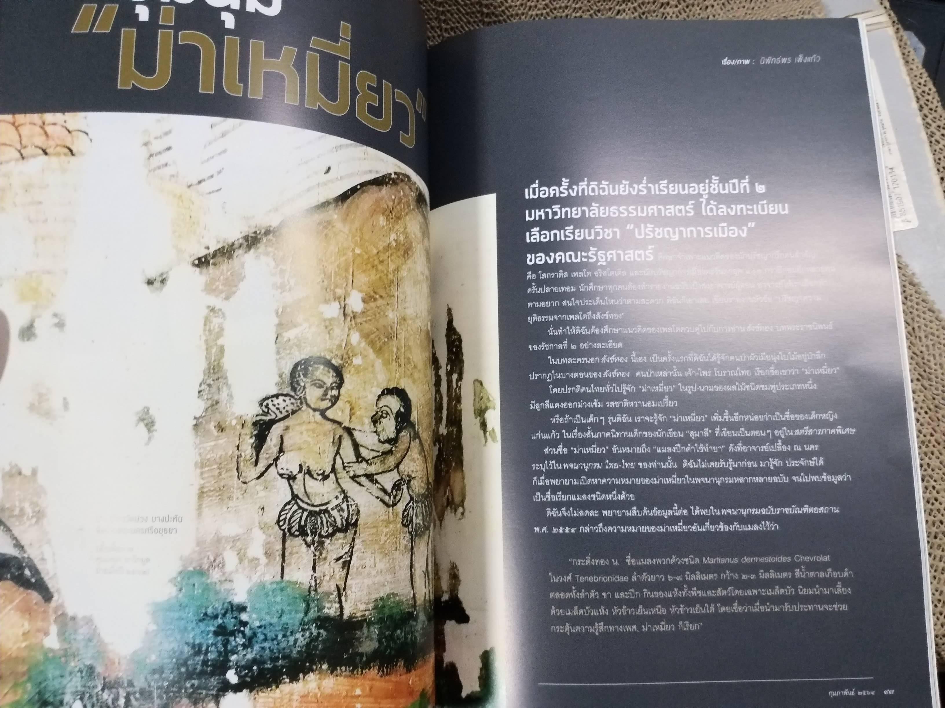 นิตยสารสารคดี ฉบับที่431 ปี2564 ไม้ใบที่รัก / ม่าเมี่ยว มนุษย์ประหลาด /