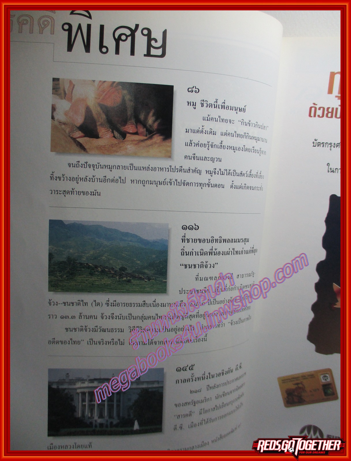 นิตยสารสารคดี ฉบับที่119 มกราคม 2538 + นักษัตรปีมะแม หมูชีวิตนี้เพื่อมนุษย์ ชนชาติจ้วง วอชิงตันดีซี ยะลา