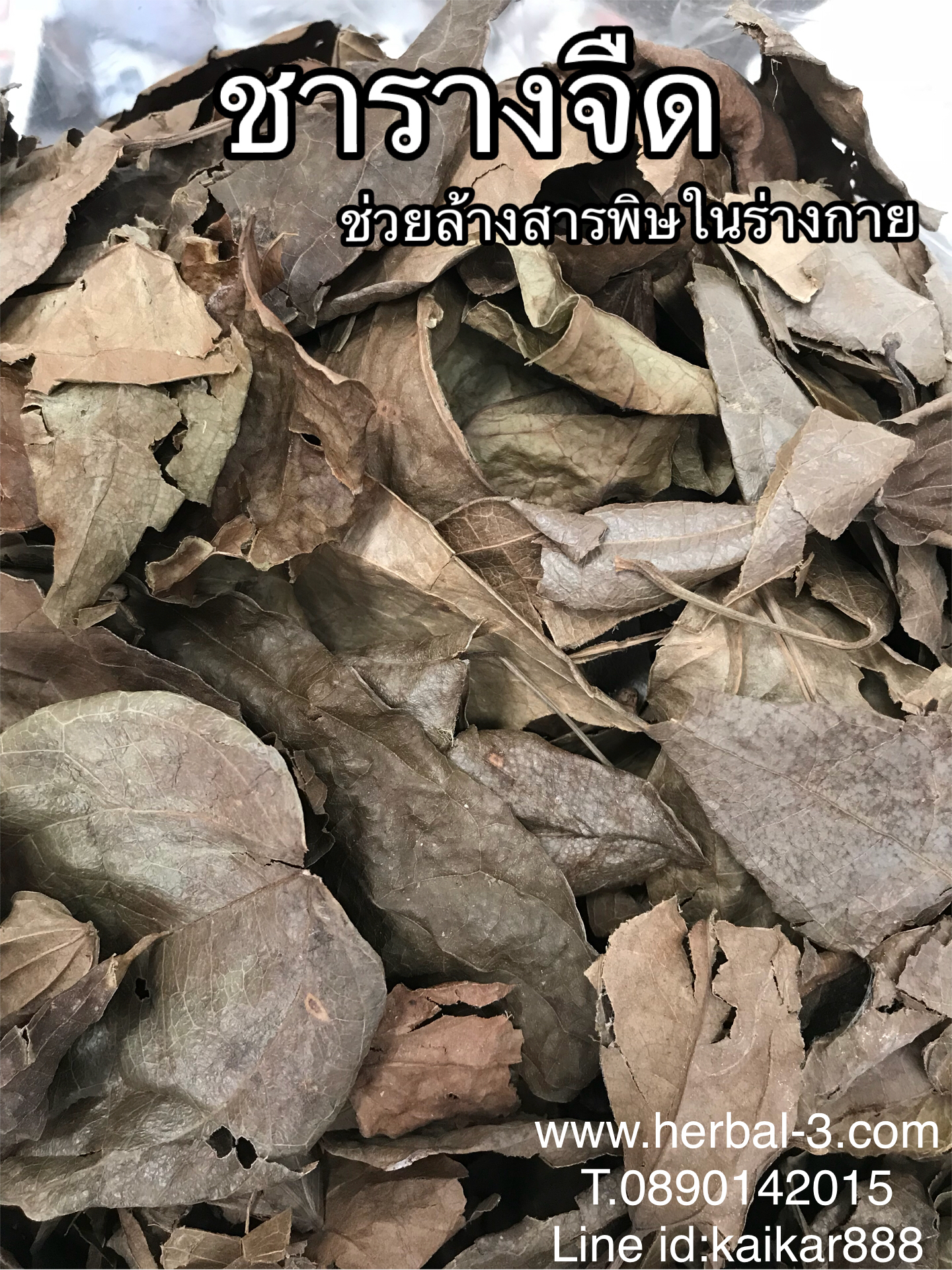 ชารางจืด (ใบอบแห้ง กิโล)