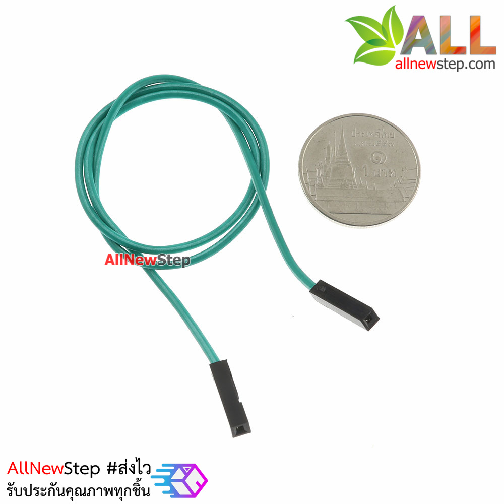 สายจัม เมีย-เมีย Jump Wire (Female to Female) สายไฟ ยาว 30cm. คละสี จำนวน 1 เส้น