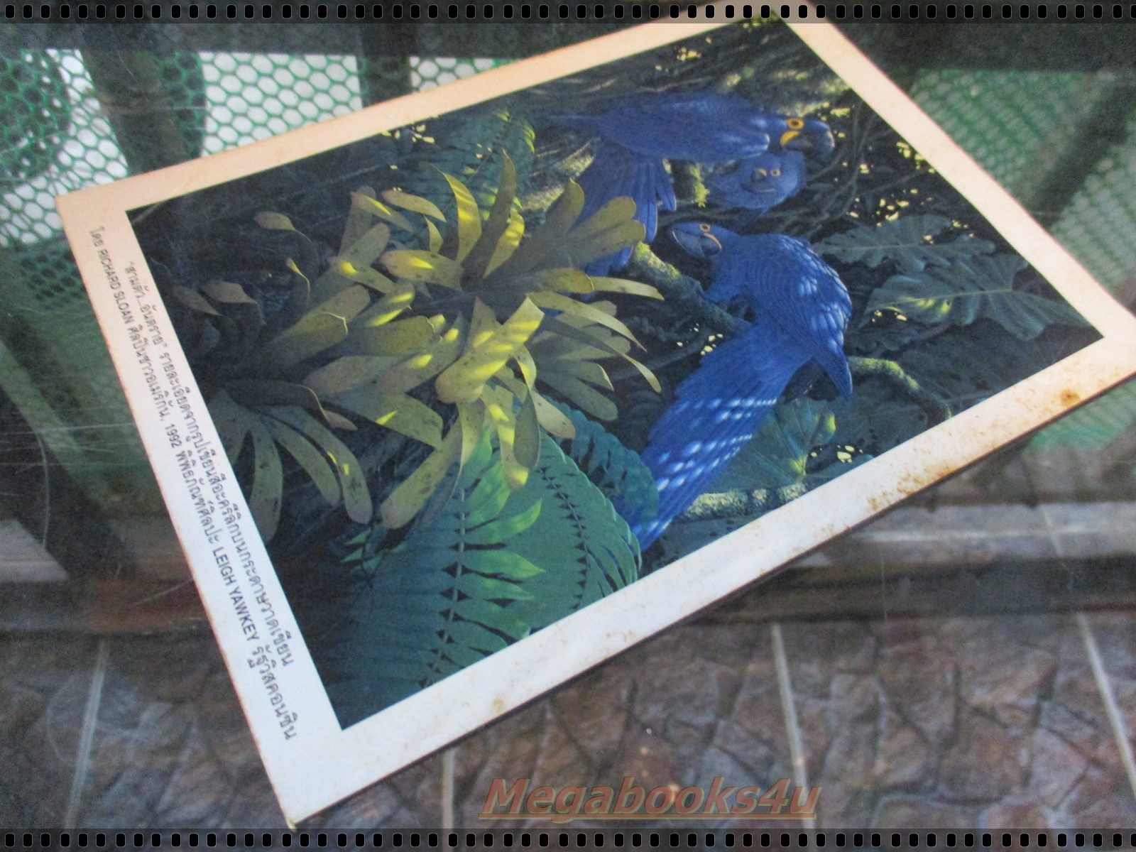 หนังสือ ReaDer's Digest สรรสาระ ฉบับที่ 1997/08 สิงหาคม 2540