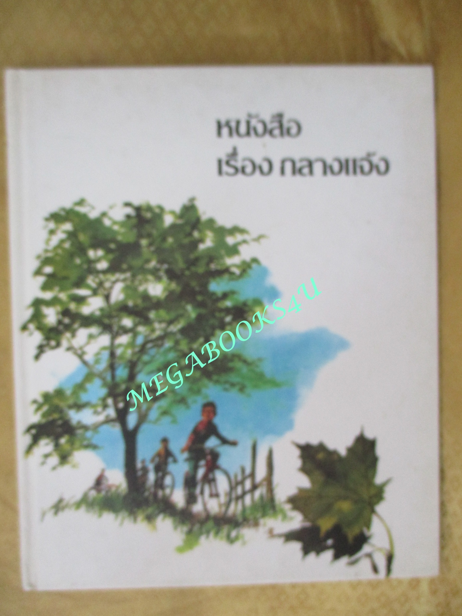 หนังสือ สารานุกรมสำหรับเด็กเล็ก เล่ม10 เรื่อง กลางแจ้ง โดย Britannica Discovery Library สภาพดี