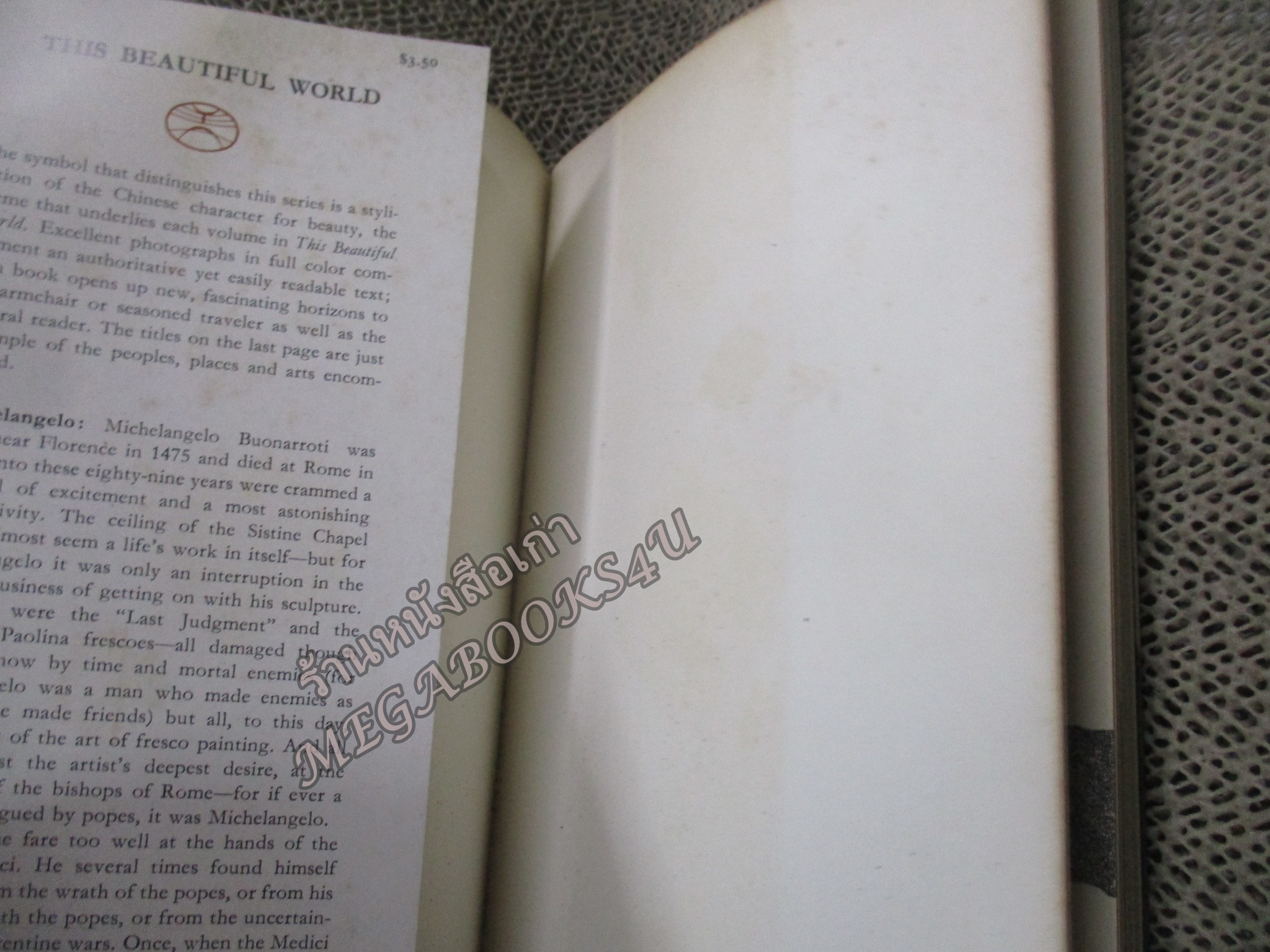 หนังสือภาษาอังกฤษ ประวัติ ผลงาน ของ ไมเคิลแองเจโล Michelangelo