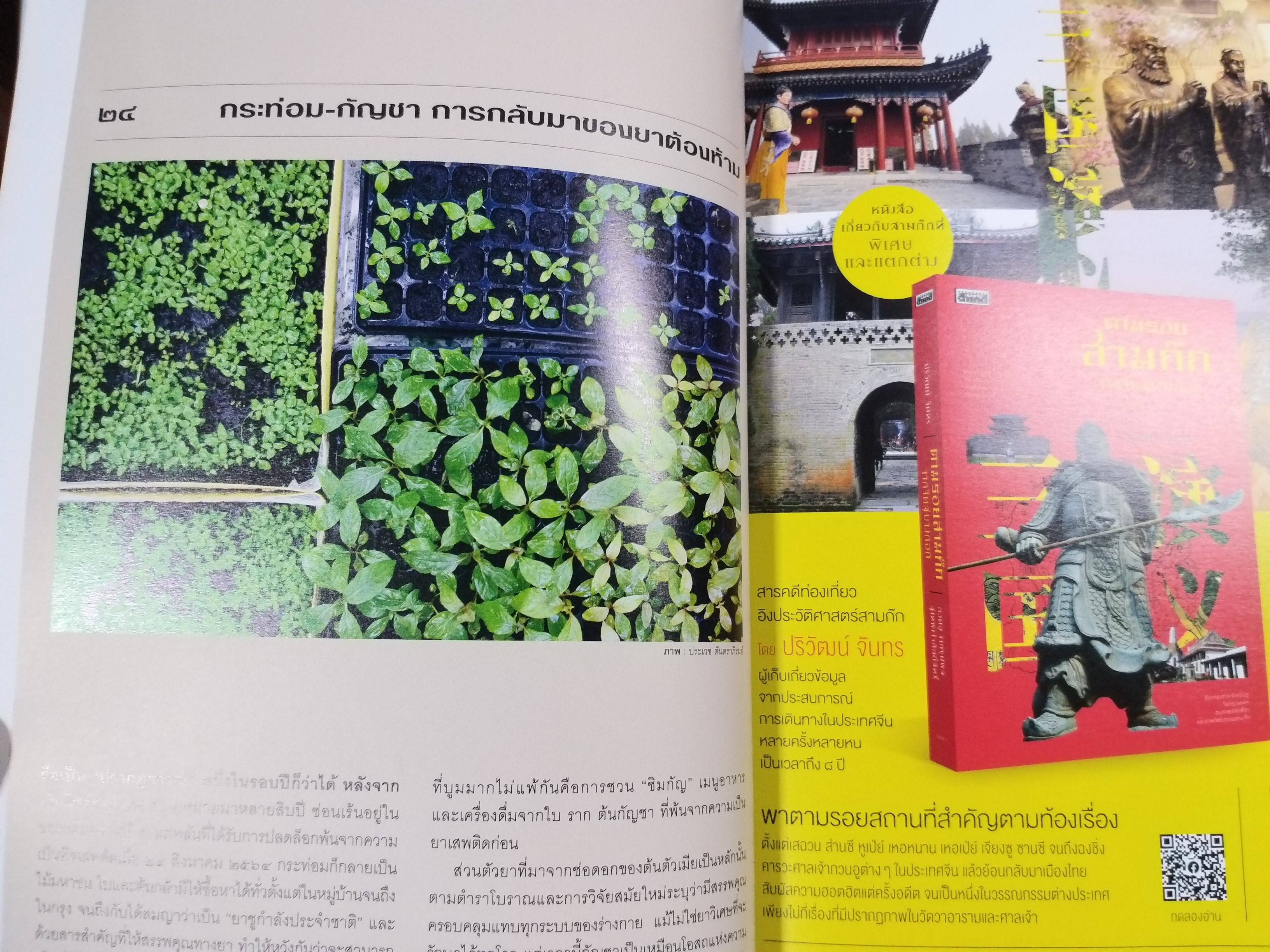 นิตยสารสารคดี ฉบับที่444 ปี2565 กระท่อม กัญชา / พันธ์กระท่อม กัญชา