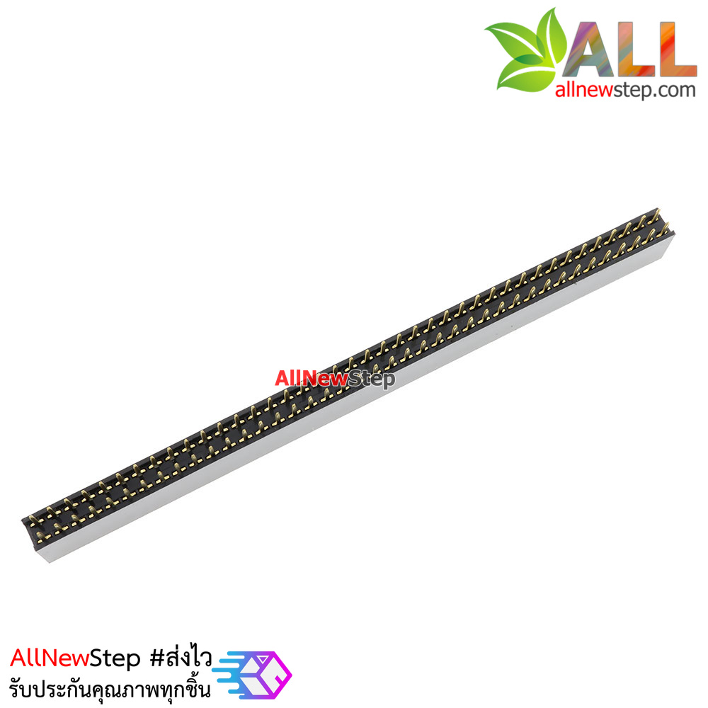 Double Row Hole Jack 2x40 PIN Header 2.54MM