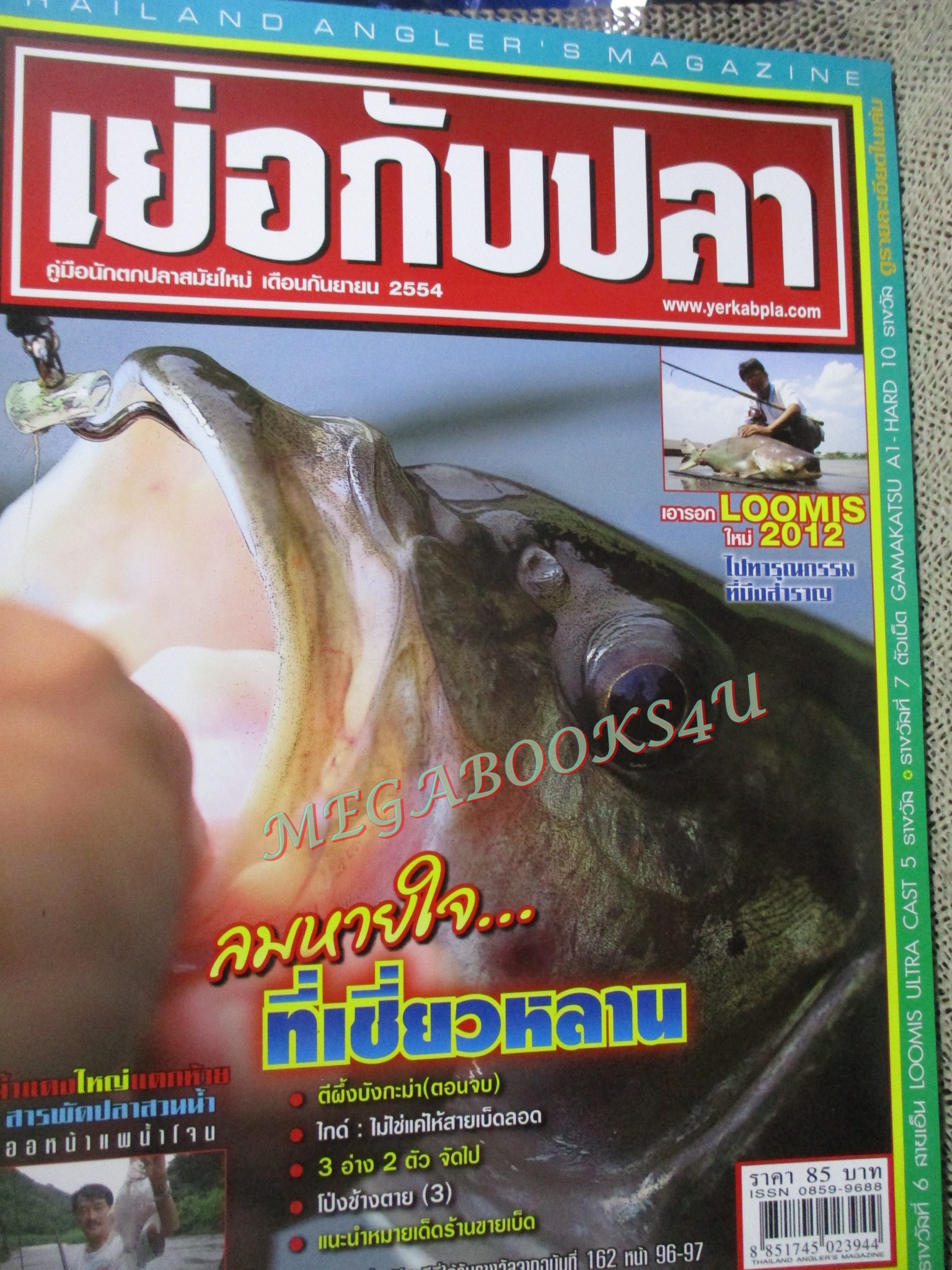 นิตยสาร เย่อกับปลา ฉบับที่164 ปี2554 ปลาบึกกับปลาสวายที่บึงสำราญ