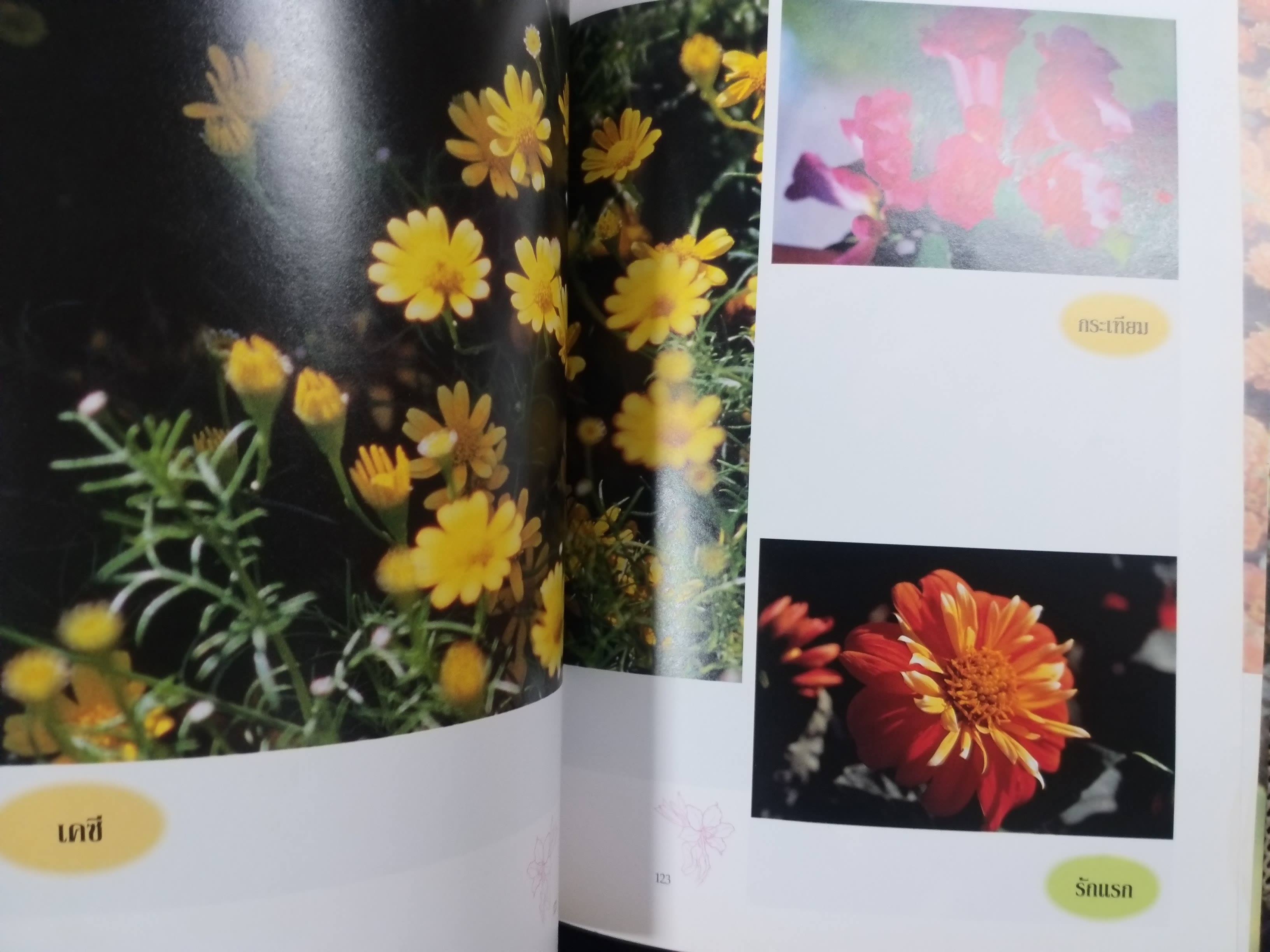 ชุดพรรณไม้งาม อนุสรณ์ นายอารีย์ เสมประสาท ม.ช., บ.ม. ครูปูชนียบุคคลของโรงเรียนกรุงเทพคริสเตียนวิทยาลัย