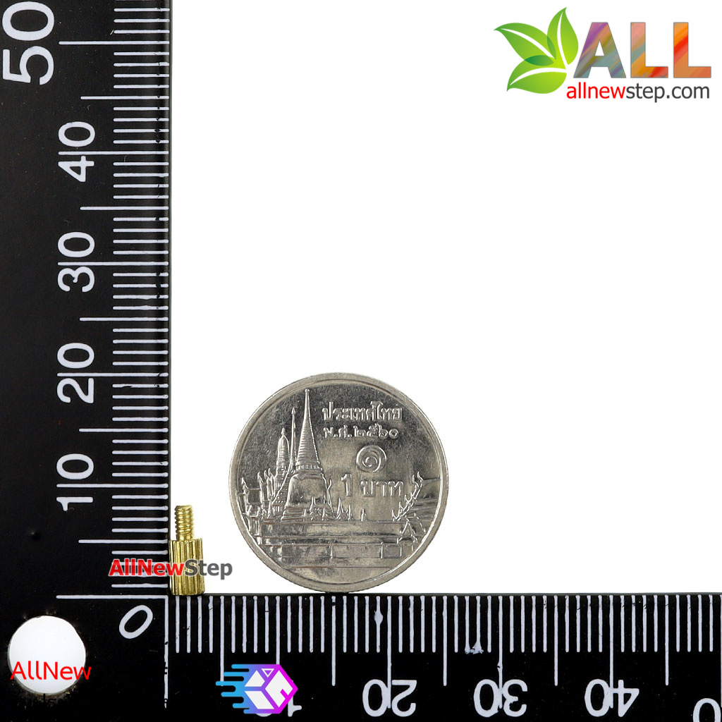 น็อตทองเหลือง NUT M2 ขนาด 5+3mm