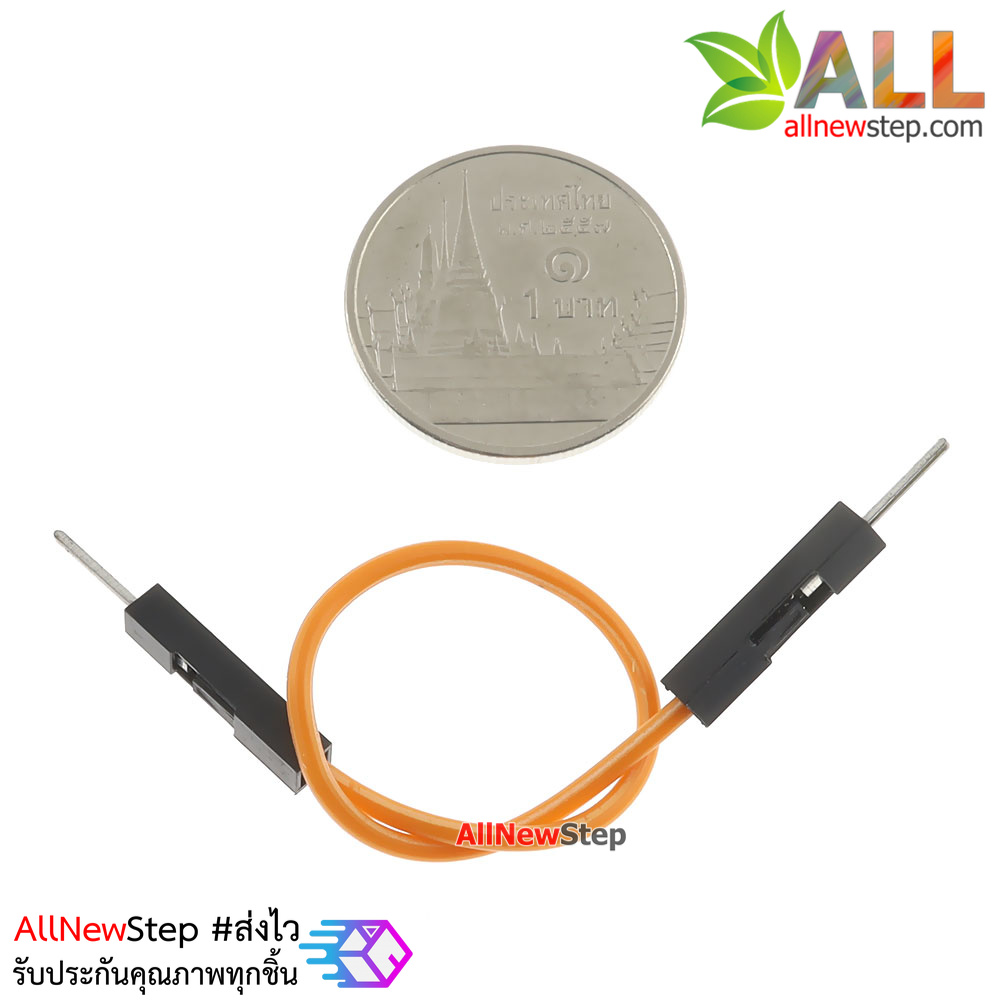 สายจัม ผู้-ผู้ Jump Wire (Female to Female) สายไฟ ยาว 10cm. คละสี จำนวน 1 เส้น