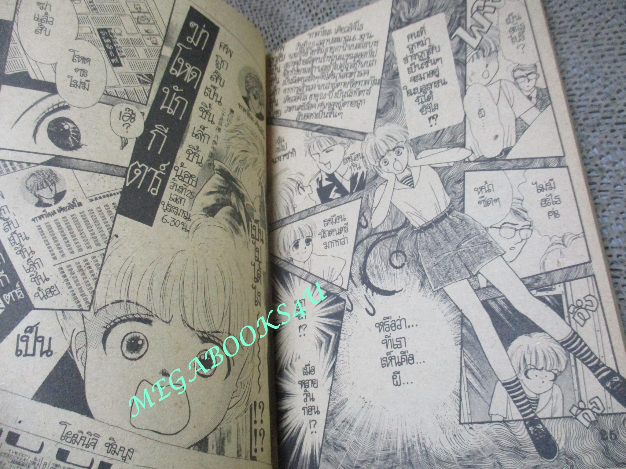 การ์ตูนบ้าน สืบซ่อนเงื่อน / YAMAURA HIROYASU / เล่มเดียวจบ / สยามฯ /