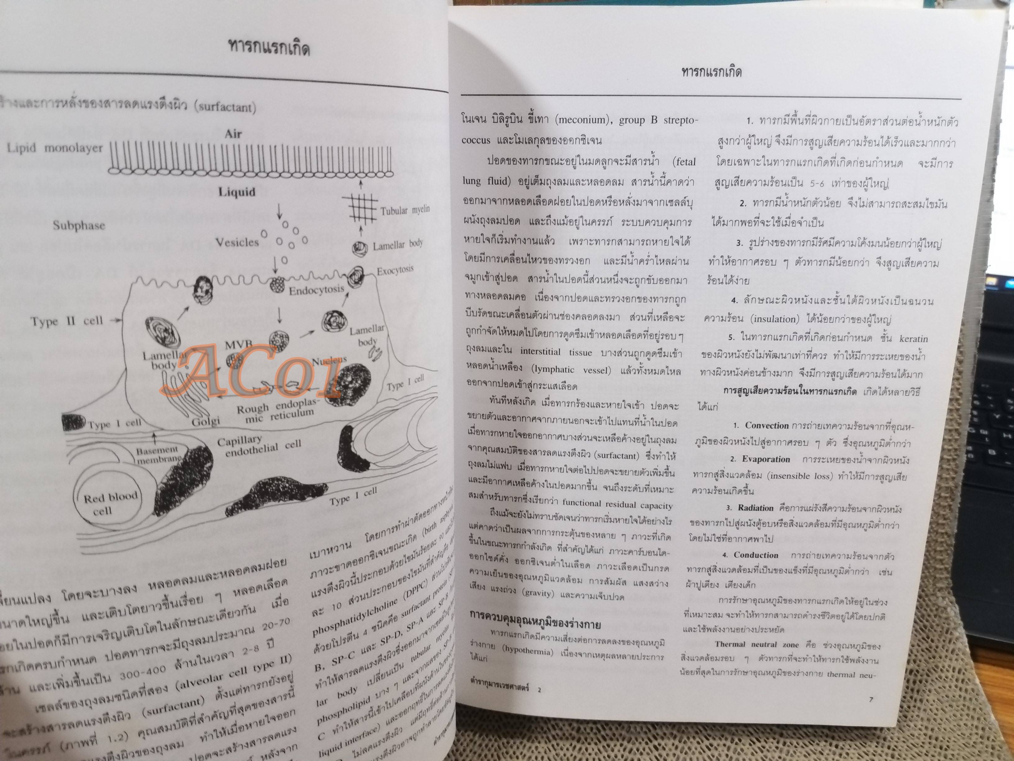 ตำรากุมารเวชศาสตร์ ฉบับเรียบเรียงใหม่ เล่ม 2 / วันดี วราวิทย์ ประพุทธ ศิริปุณย์ สุรางค์ เจียมจรรย / ตำหนิ มี ขีดเส้นใต้และไฮไลท์ บางหน้า