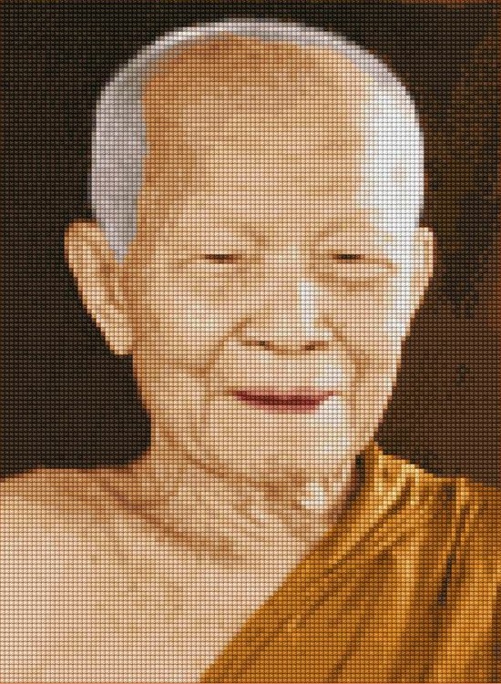 Pinn หลวงตามหาบัว (เล็ก)