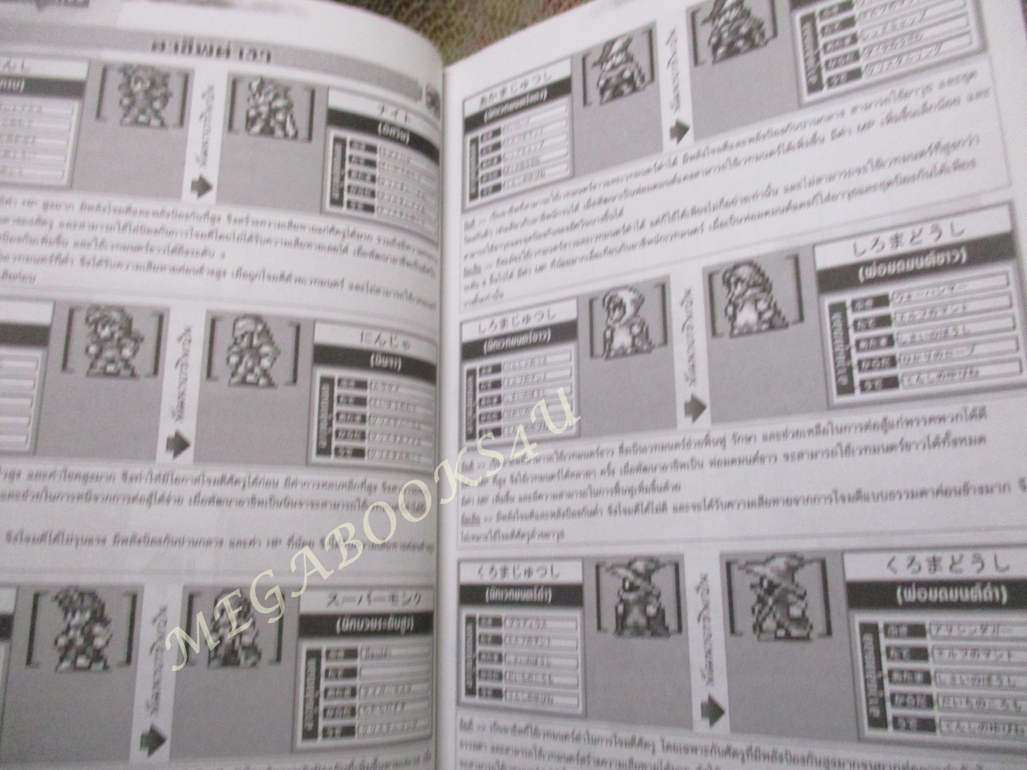 คู่มือเกมส์ FINAL FANTASY I & II ADVANCE