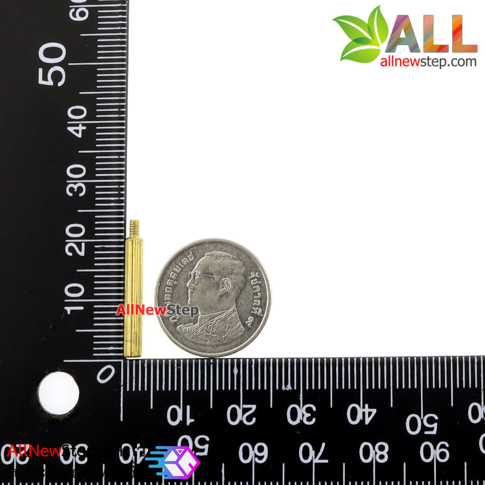 น็อตทองเหลือง NUT M2 ขนาด 20+3mm