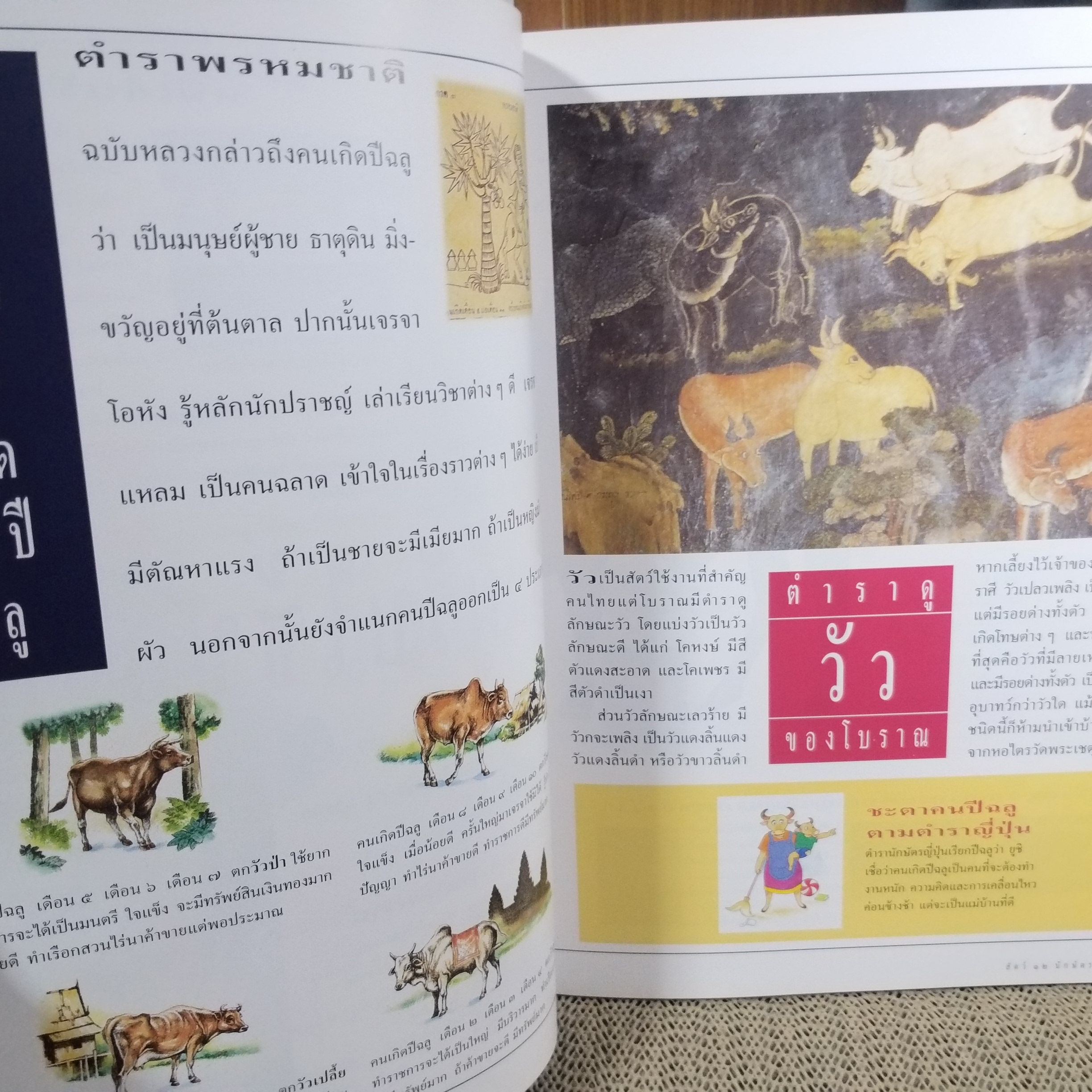 สัตว์ 12 นักษัตรไทย. หนังสือภาพความรู้จัดทำโดยทีมงานนิตยสาร "สารคดี" สภาพ 90 %