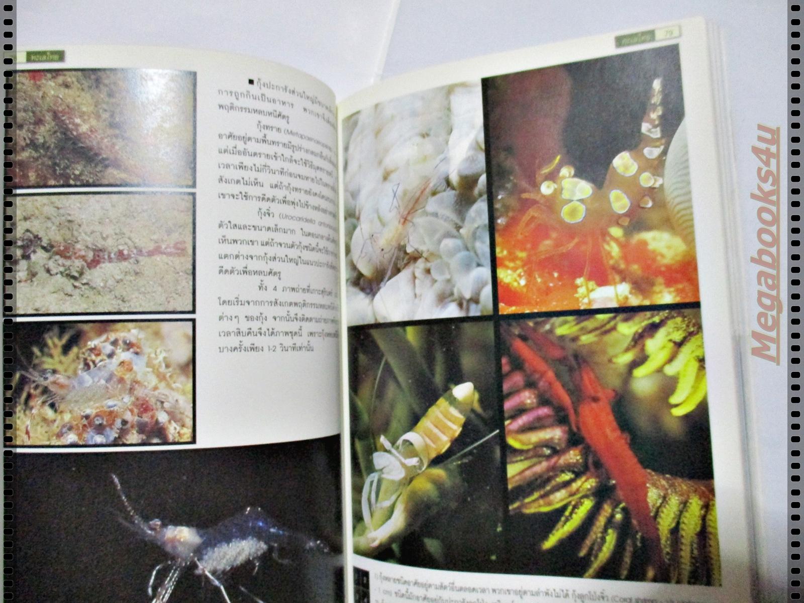 ทะเลไทย โดย ดร.ธรณ์ ธำรงนาวาสวัสดิ์