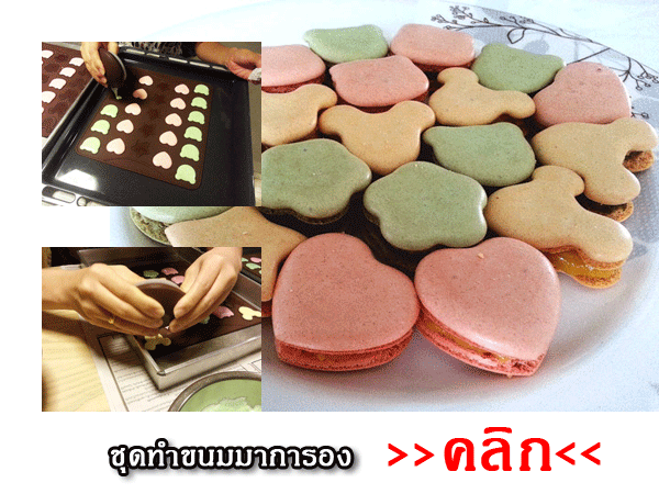 อุปกรณ์ทำขนมมาการอง ชุดทำขนมมาการองเซ็ทใหญ่