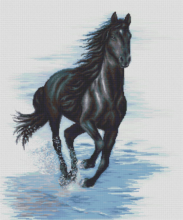 Luca-S Black Horse