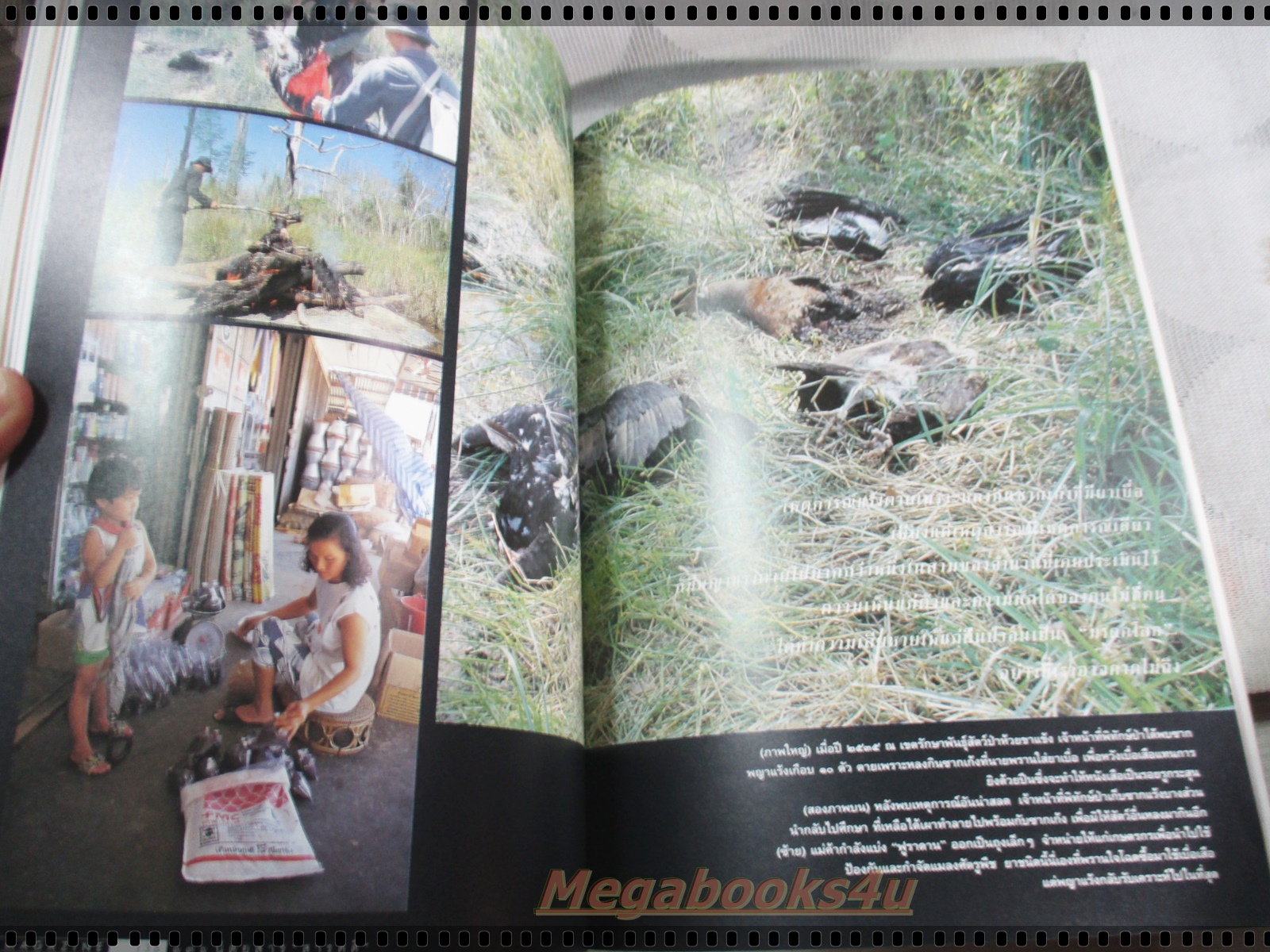 นิตยสารสารคดี ฉบับที่138 สิงหาคม 2539 ปีที่12 สุนัขทหาร,แร้ง,วานูอาตู,อินคา