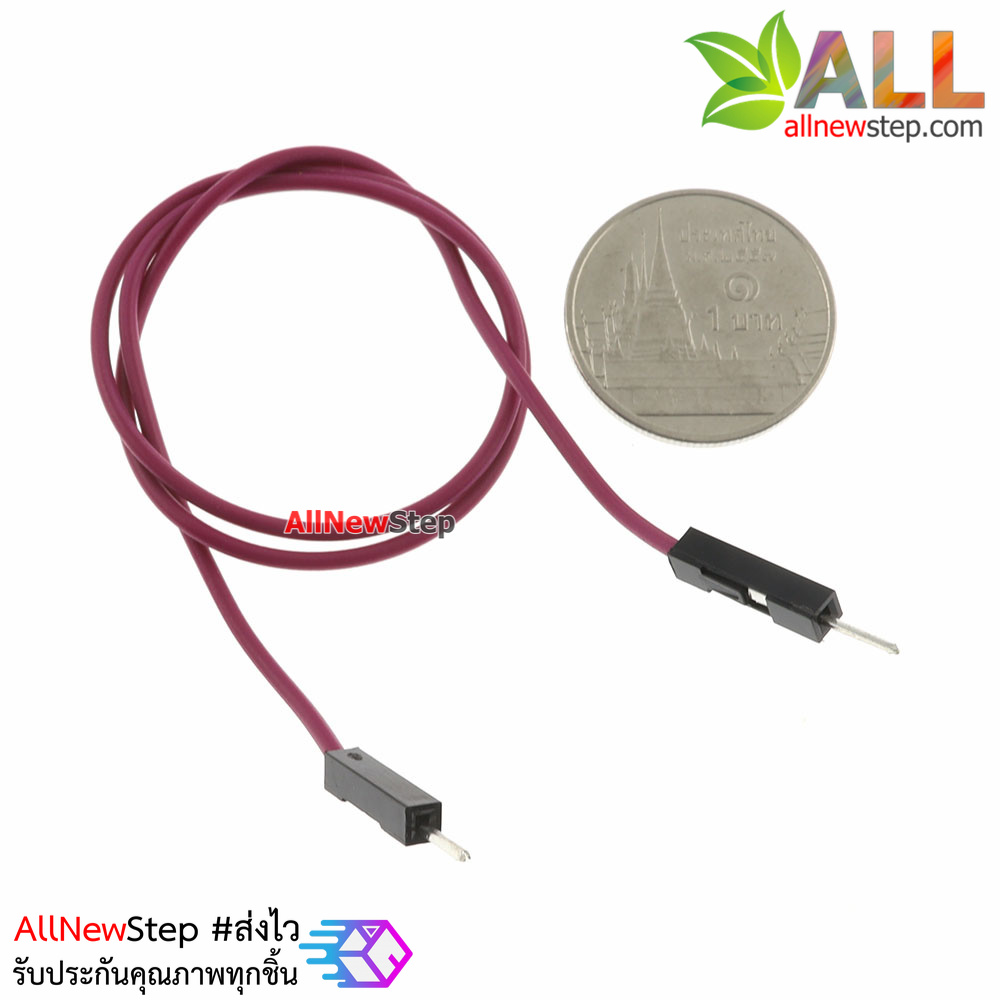 สายจัม ผู้-ผู้ Jump Wire (Female to Female) สายไฟ ยาว 30cm. คละสี จำนวน 1 เส้น