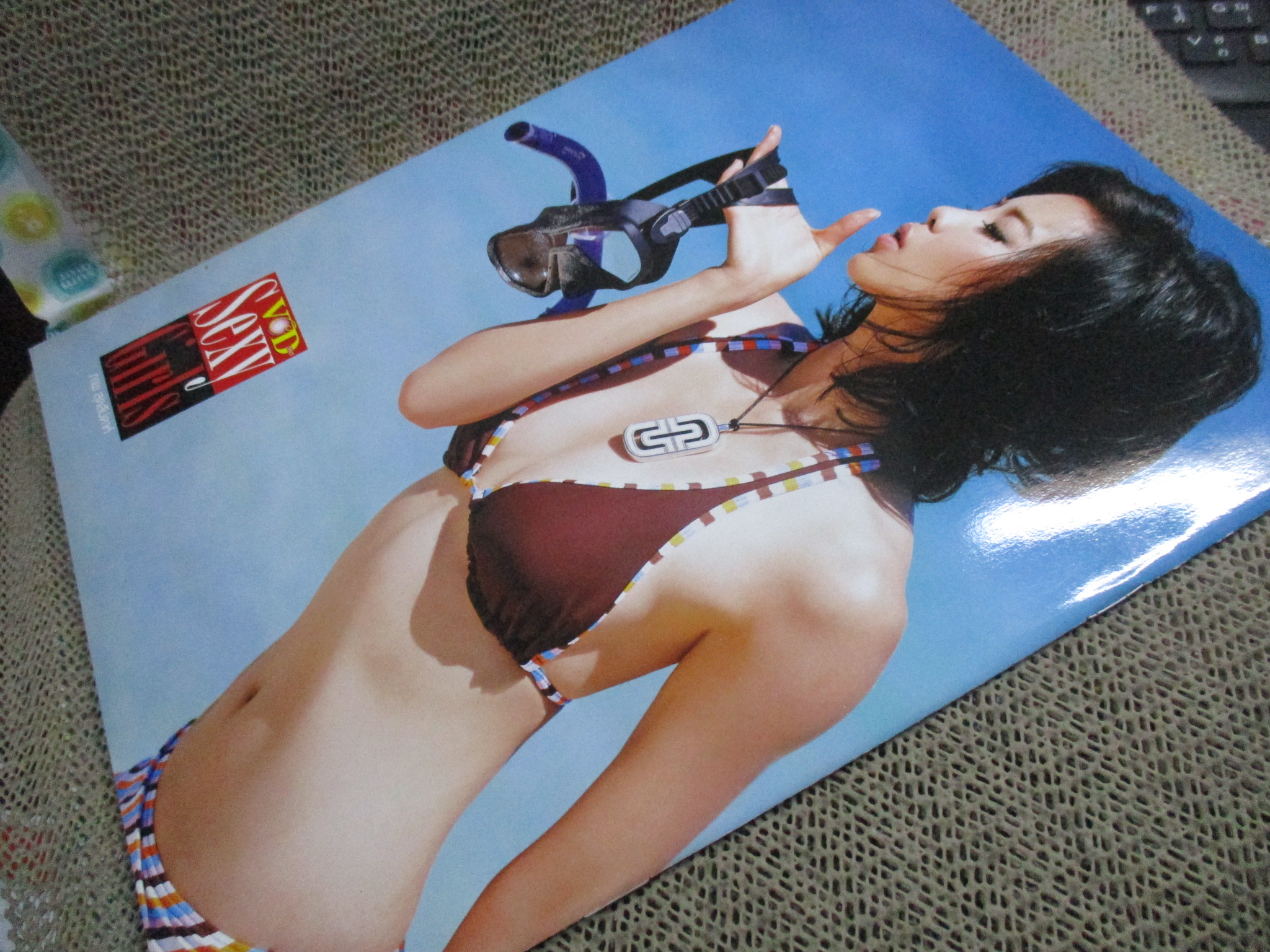 นิตยสาร VCD ไดเจสท์ เล่มที่084 ปี2557 ปก กระต่าย แม็กซิม