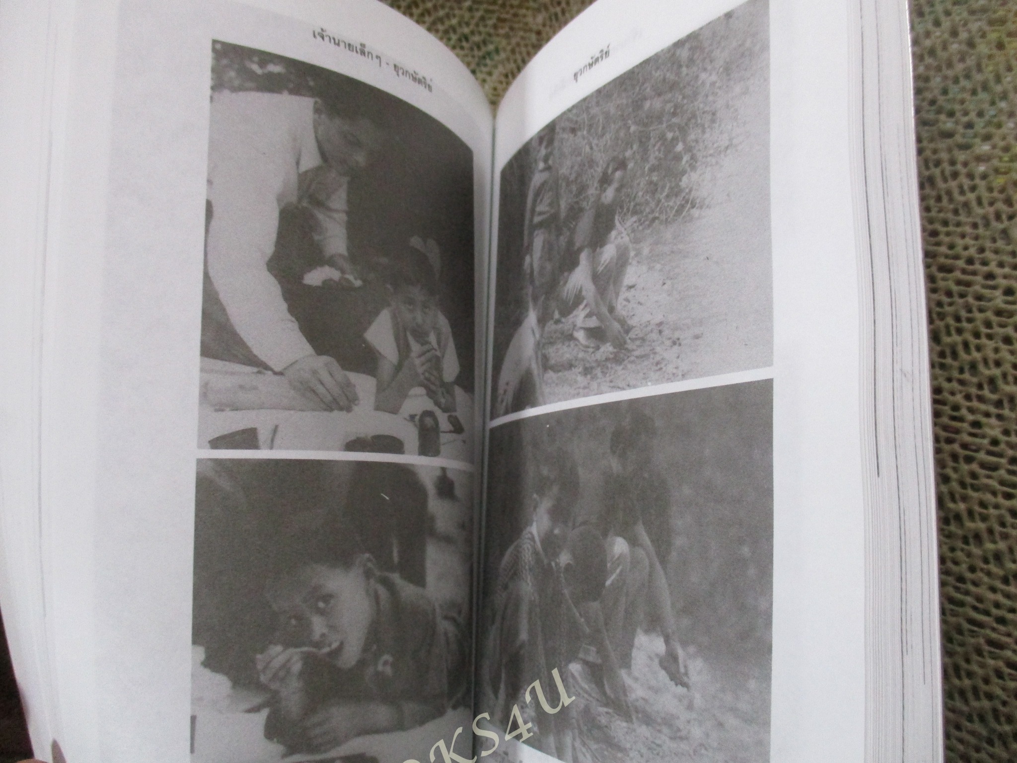 เจ้านายเล็ก ๆ - ยุวกษัตริย์ พระนิพนธ์ใน สมเด็จพระเจ้าพี่นางเธอ เจ้าฟ้ากัลยาณิวัฒนา