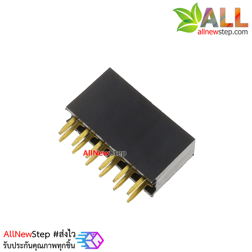 2.54mm pitch female double row female socket 2x6 pin