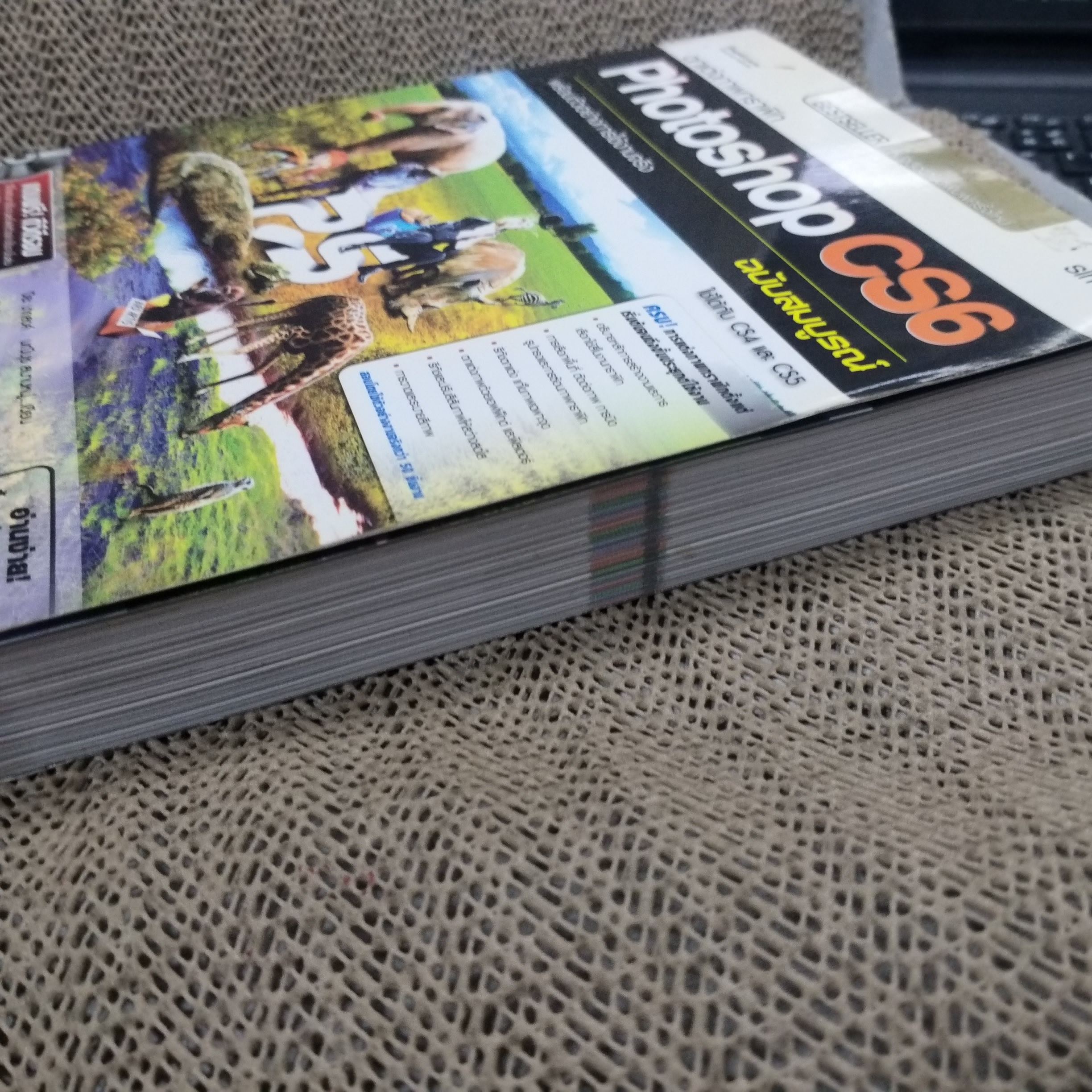 ตกแต่งภาพกราฟิก Photoshop CS6 ฉบับสมบูรณ์ ผู้แต่ง ปิยะ นากสงค์/ สภาพดี 90 %