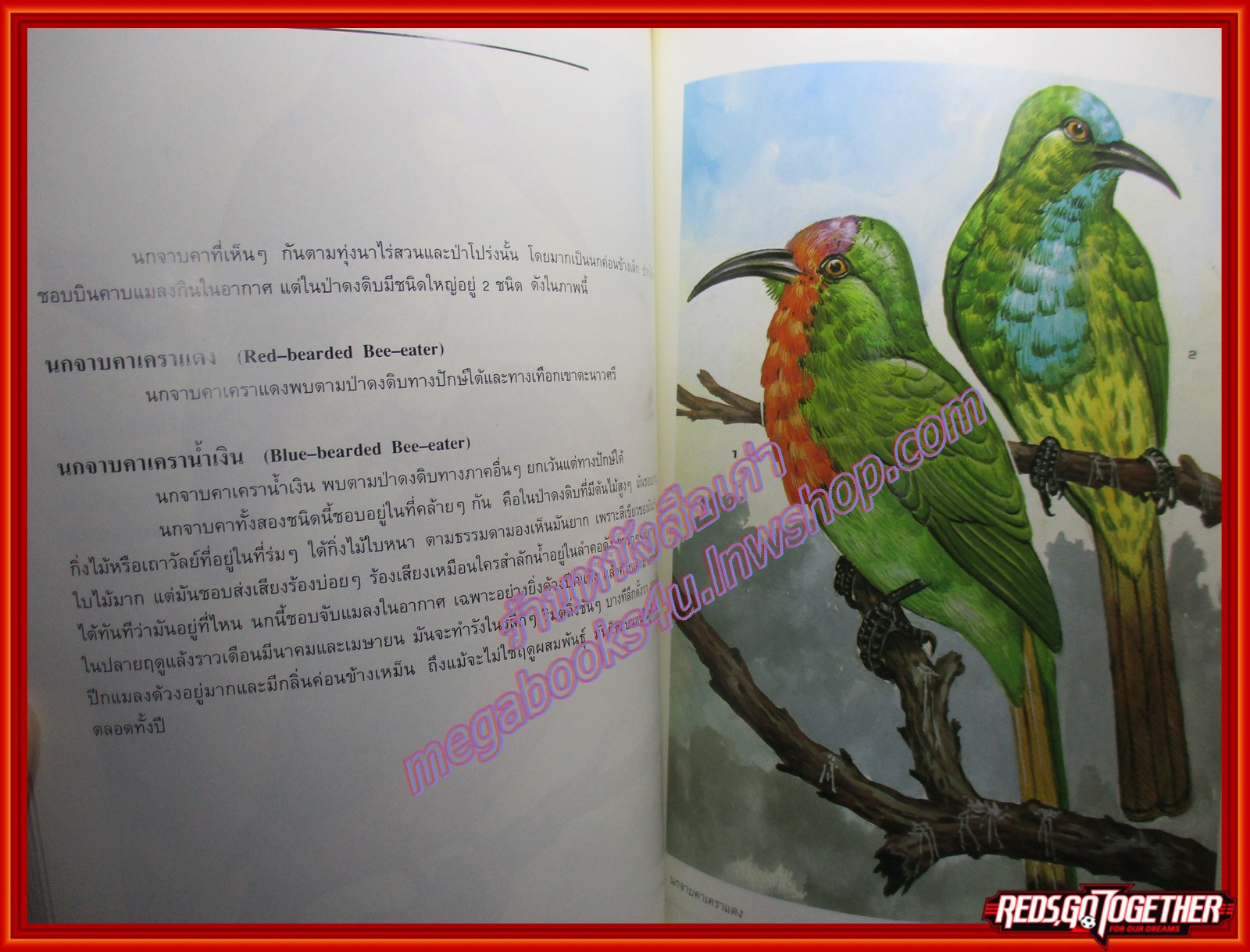 หนังสือ นกสามถิ่น นกสวน นกท้องนา นกป่าดง โดย บุญส่ง เลขะกุล (มือสอง) (สภาพ85-95%) มุมหนังสือด้านบนมีรอยขาดหน่อย