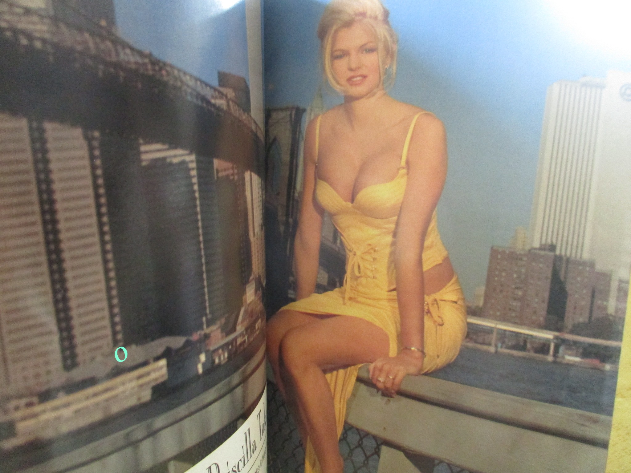 นิตยสารPLAYBOY USA ฉบับ MARCH 1996