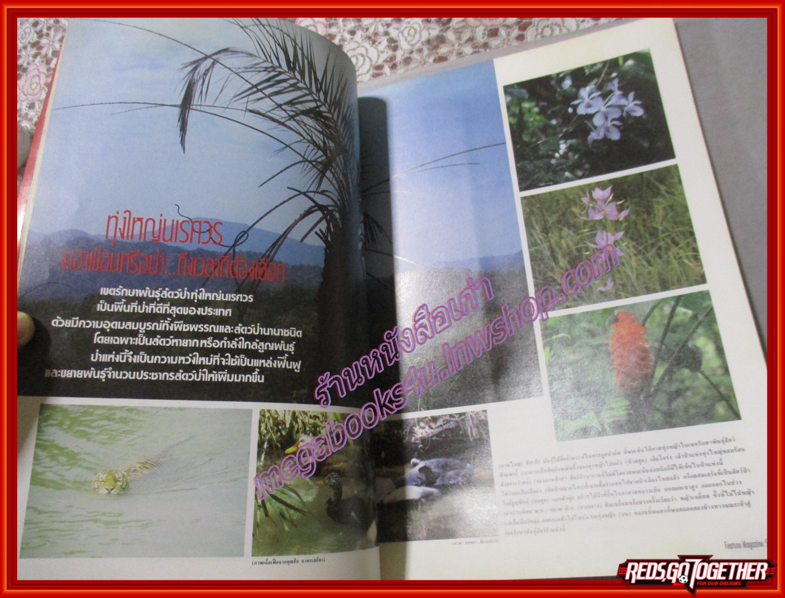 นิตยสารสารคดี ฉบับที่030 สิงหาคม 2530 ปลาทอง,ทุ่งใหญ่นเรศวร,ญี่ปุ่น,สัมภาษณ์พลเอกชวลิต ยงใจยุทธ,