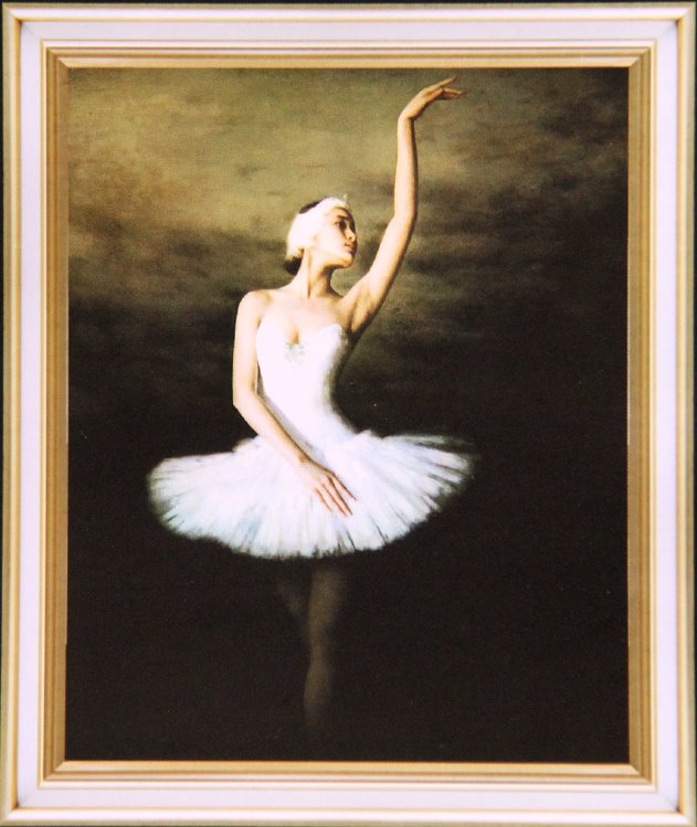 ชุดปักจีน Ballet Dance