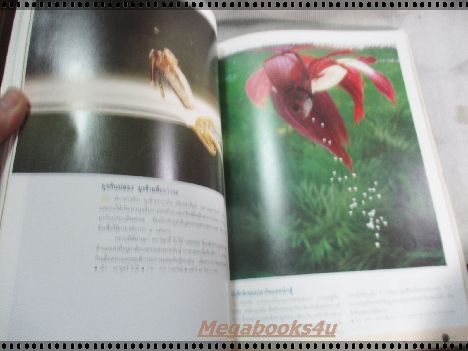 นิตยสารสารคดี ฉบับที่100 ปี2536 รวม100เรื่องราว100ภาพเด่น