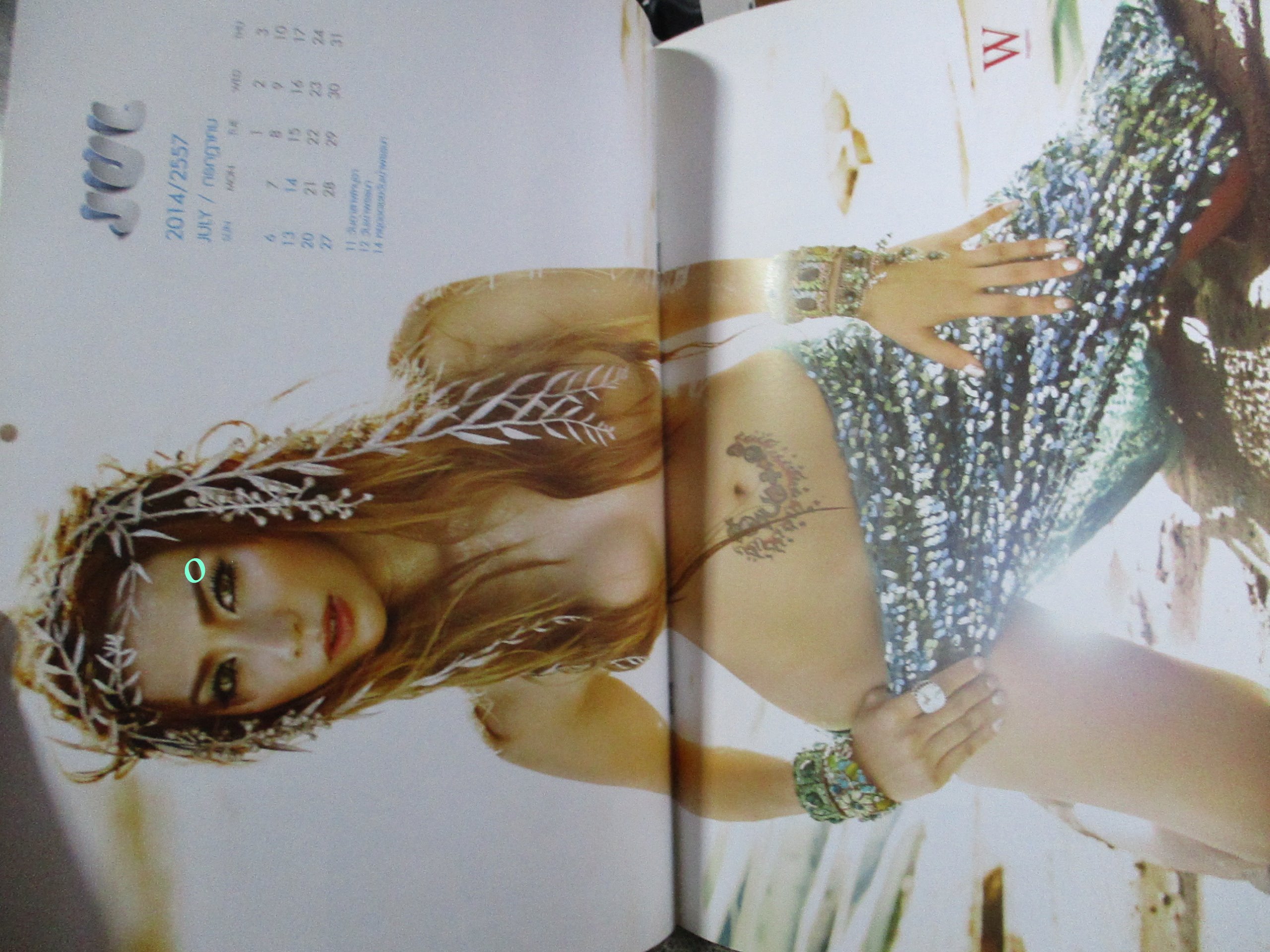 นิตยสาร W MAGAZINE CALENDAR 2014 12เดือน 24 แผ่น