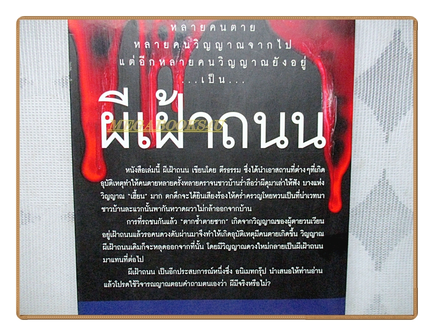 ผีเฝ้าถนน โดย ตีรธรรม