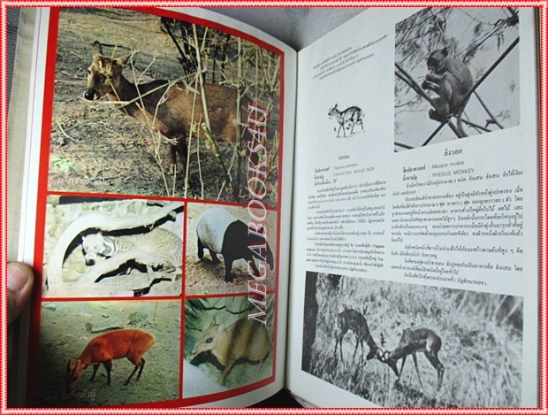 ธรรมชาติศึกษา เล่ม1 ปี2521 ฉบับนำสำรวจวนอุทยานน้ำตกบริพัตร