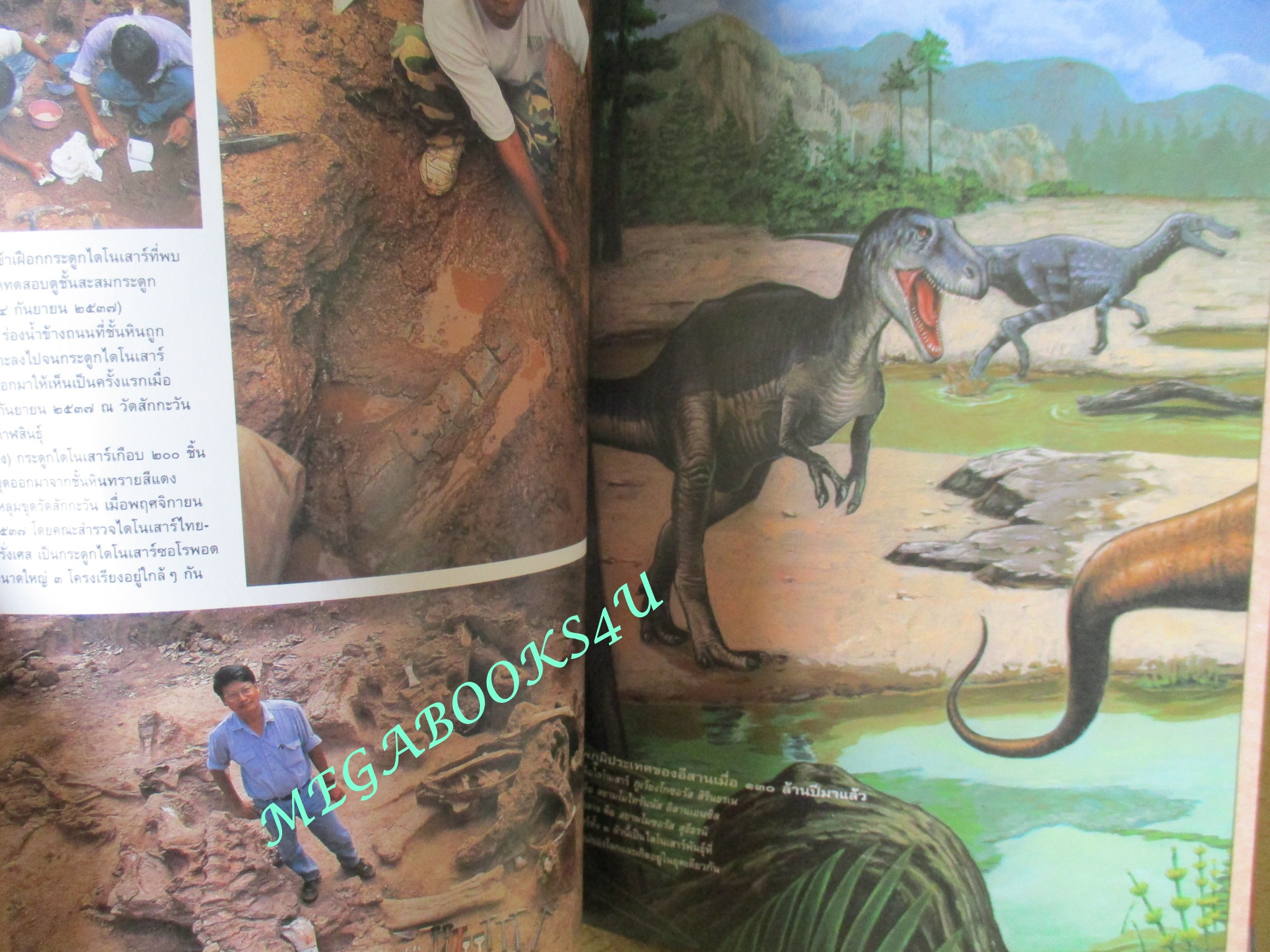 นิตยสารสารคดี ฉบับที่149 กรกฏาคม 2540ไดโนเสาร์,ลูกตาว,กอริลลา,เที่ยวเขาชะเมา,เขาวง