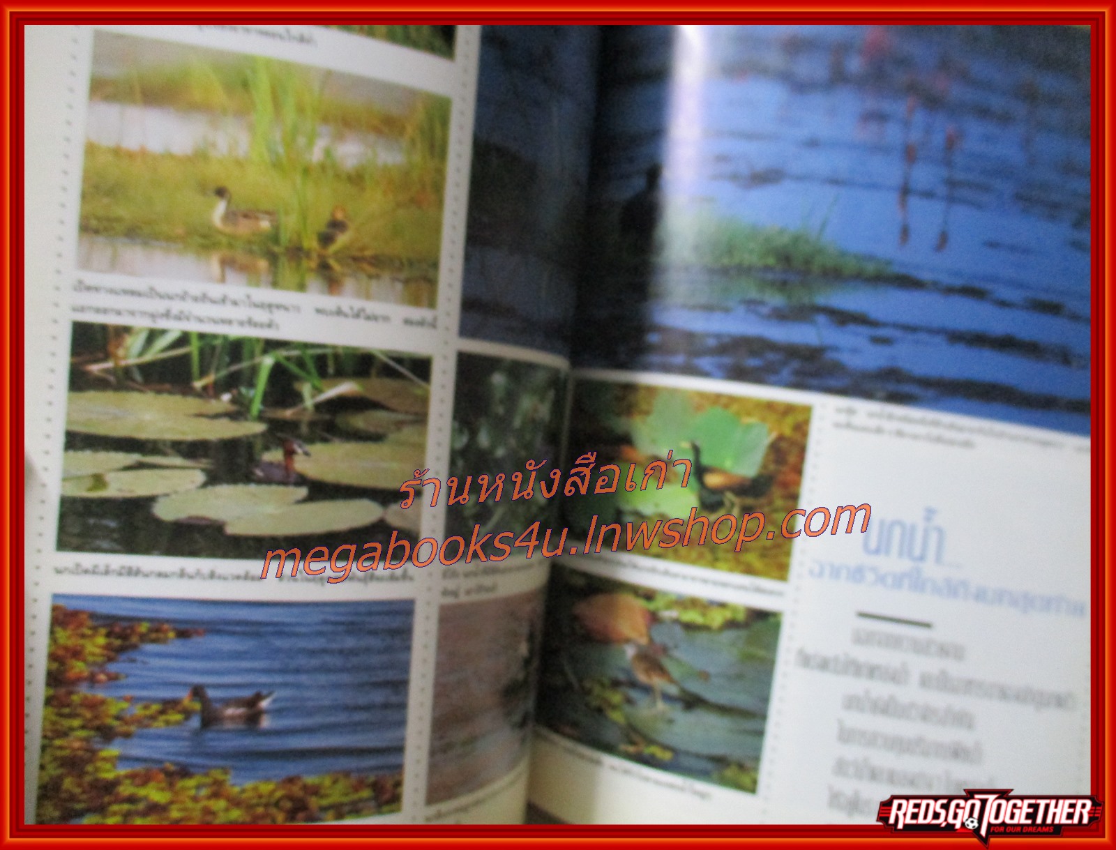 นิตยสารสารคดี ฉบับที่078 สิงหาคม 2534 สภาพดี คุกครั้งเดียวก็เกินพอ นกน้ำ อุตรดิษฐ์