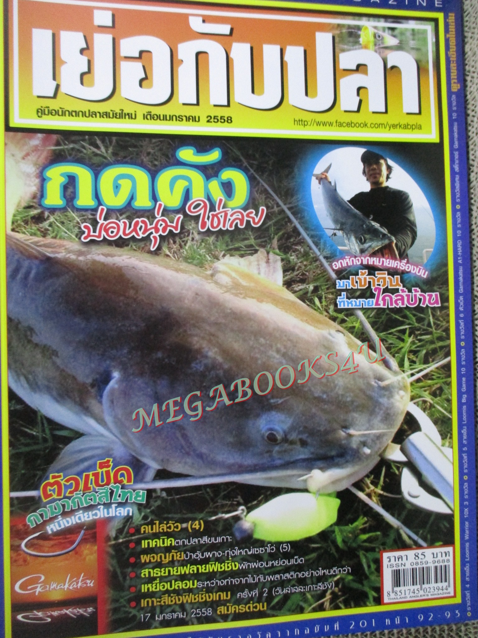 นิตยสาร เย่อกับปลา ฉบับที่203 2558 ปลากดคังที่บ่อหนุ่ม
