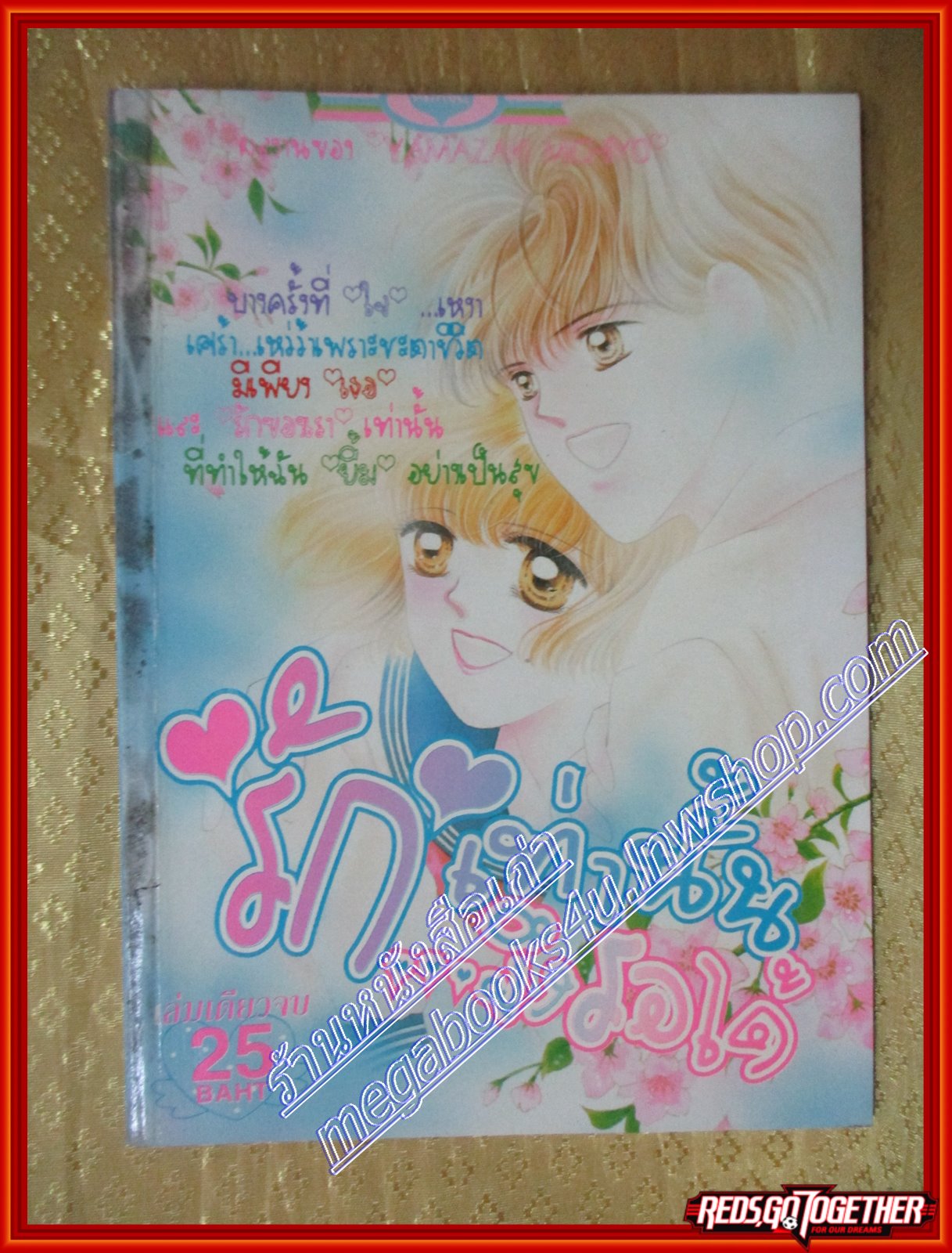 การ์ตูนบ้าน รักเท่านั้นจึงรอได้ โดย *** เล่มเดียวจบ สนพ.หมึกจีน