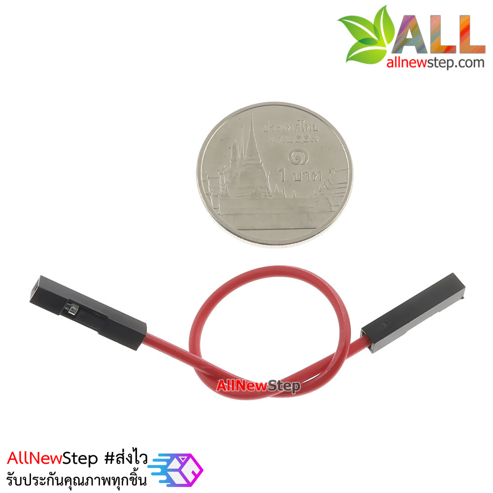 สายจัม เมีย-เมีย Jump Wire (Female to Female) สายไฟ ยาว 10cm. คละสี จำนวน 1 เส้น