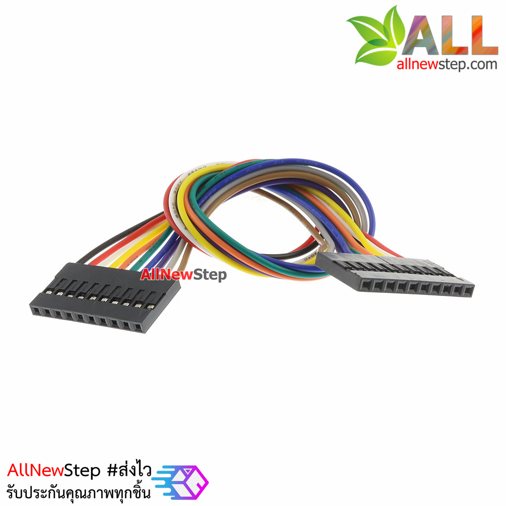 Jumper Wire 10P Female to Female สายไฟจัมเปอร์ เมีย-เมีย 10 เส้น ยาว 20cm