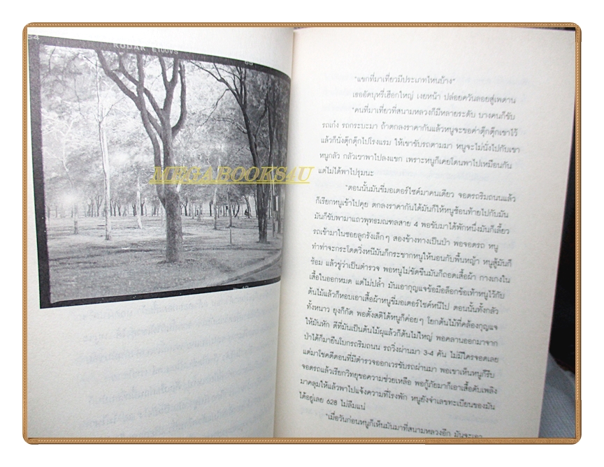 ชายขายตัว บาร์เกย์ หญิงคาบาเรท์ ตลกคาเฟ่ กะหรี่สนามหลวง โดย วรชัย รัตนดวงตา